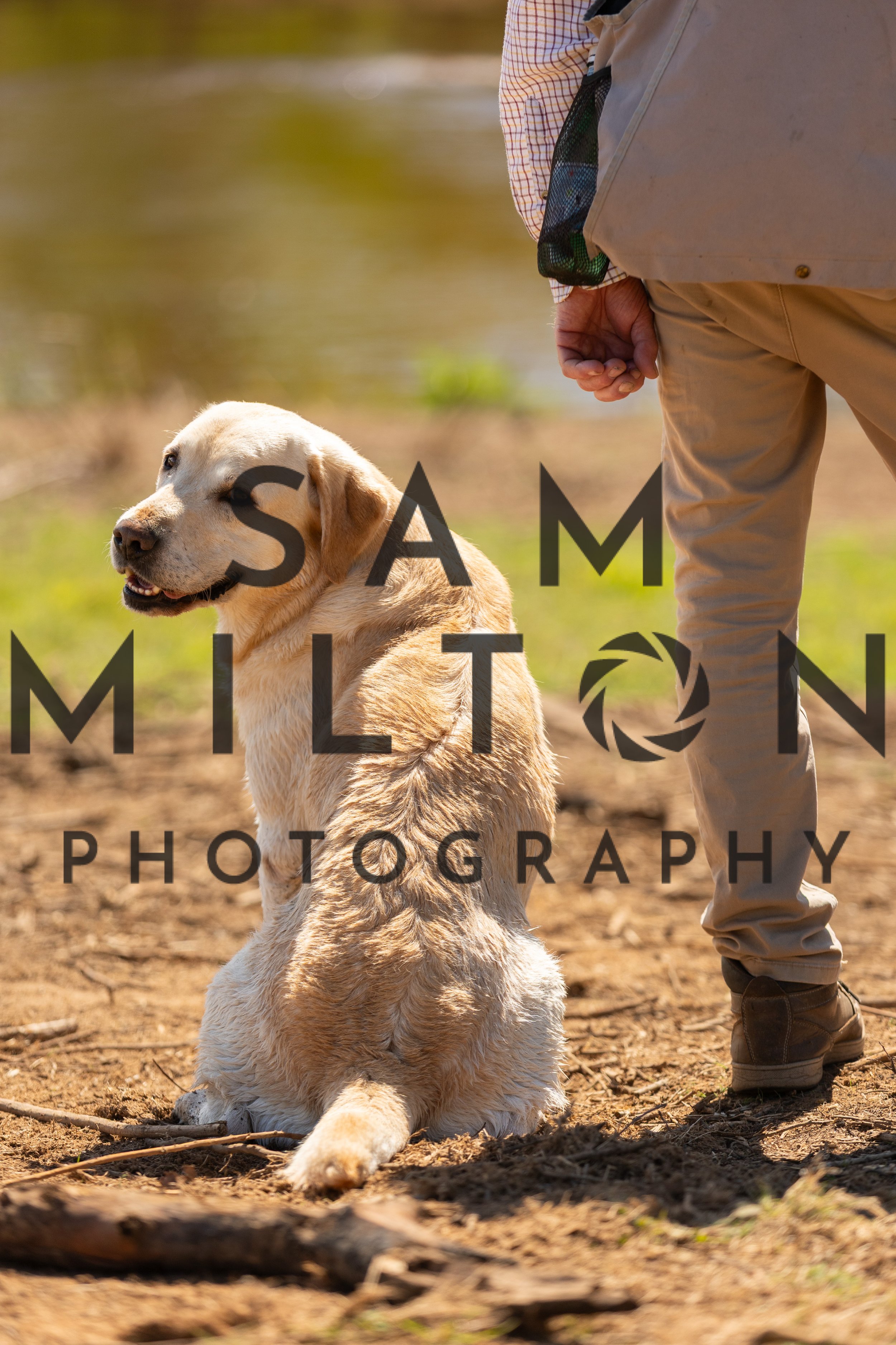 Gun Dog Challenge-371.jpg