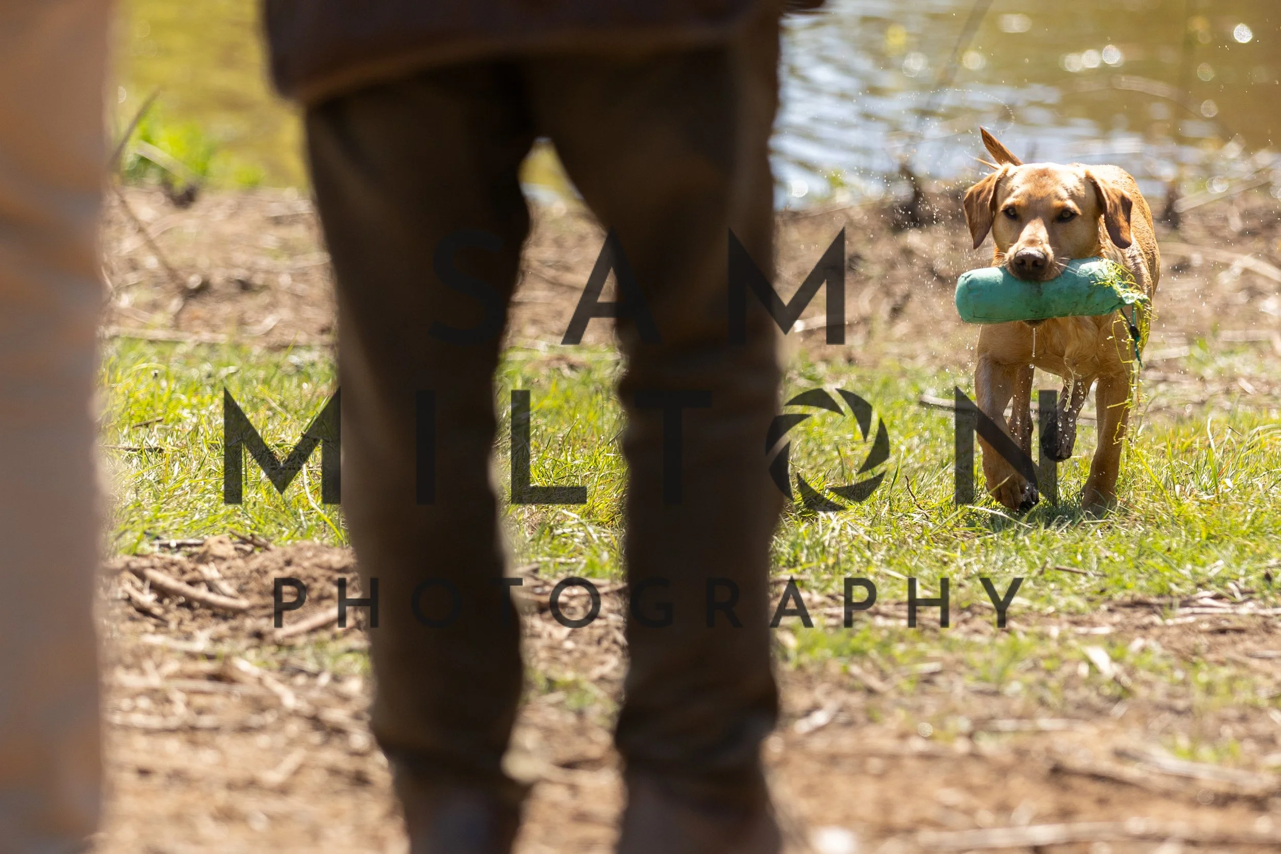 Gun Dog Challenge-372.jpg