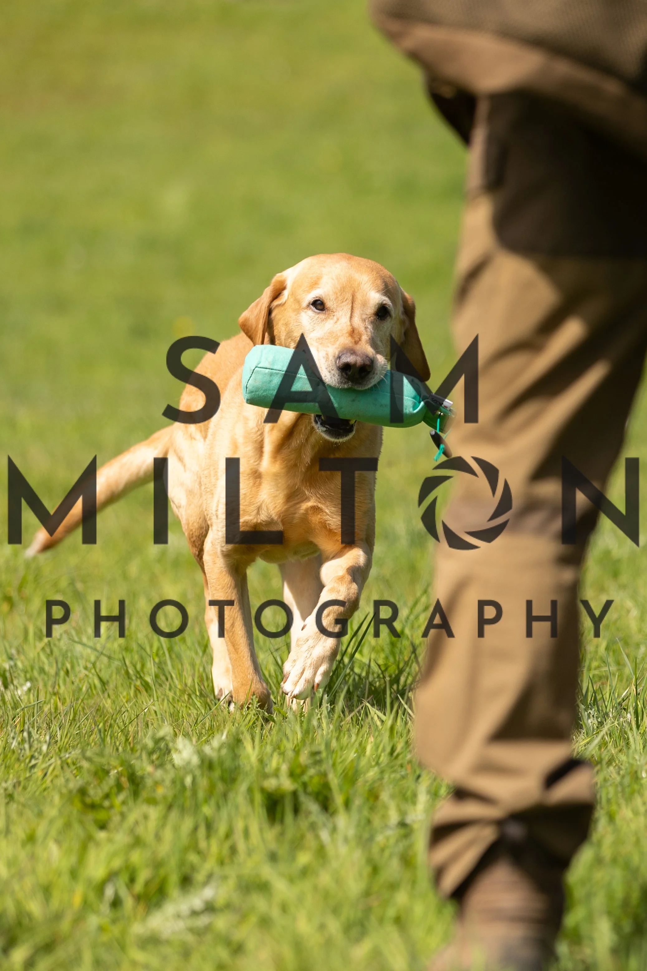 Gun Dog Challenge-211.jpg