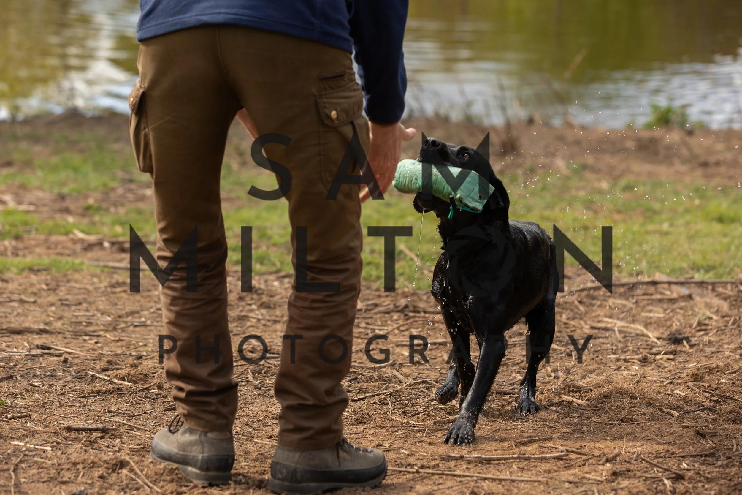 Gun Dog Challenge-107.jpg