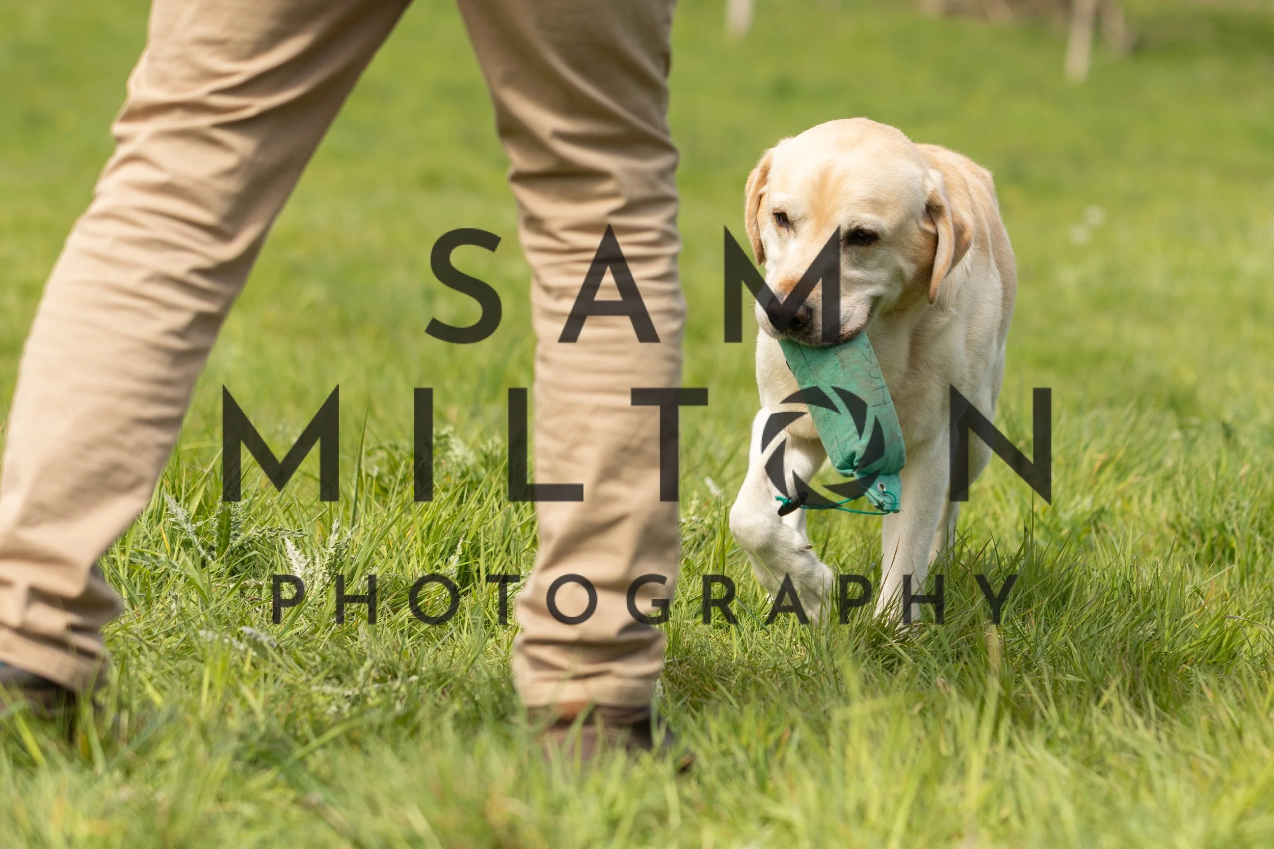 Gun Dog Challenge-177.jpg