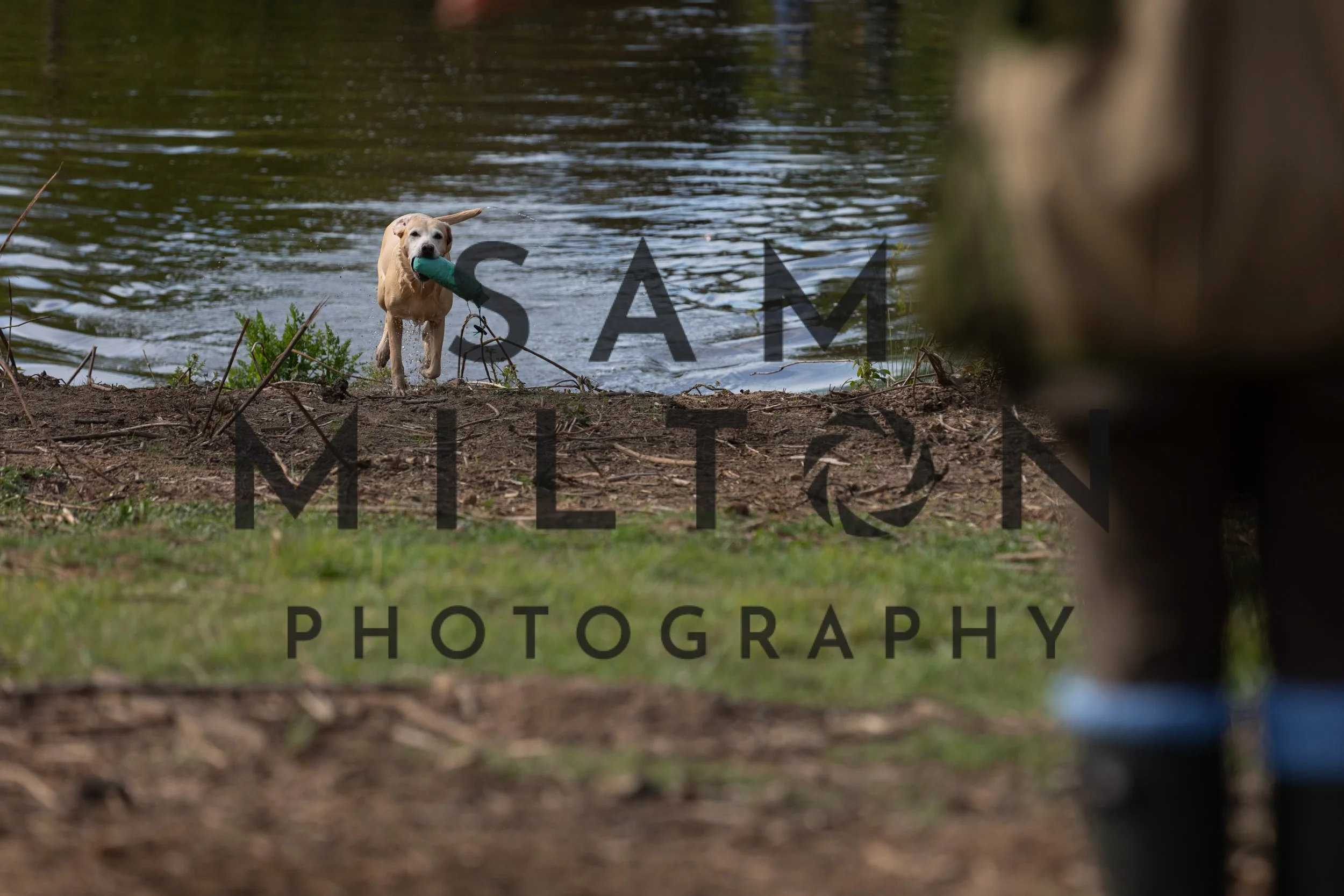 Gun Dog Challenge-56.jpg