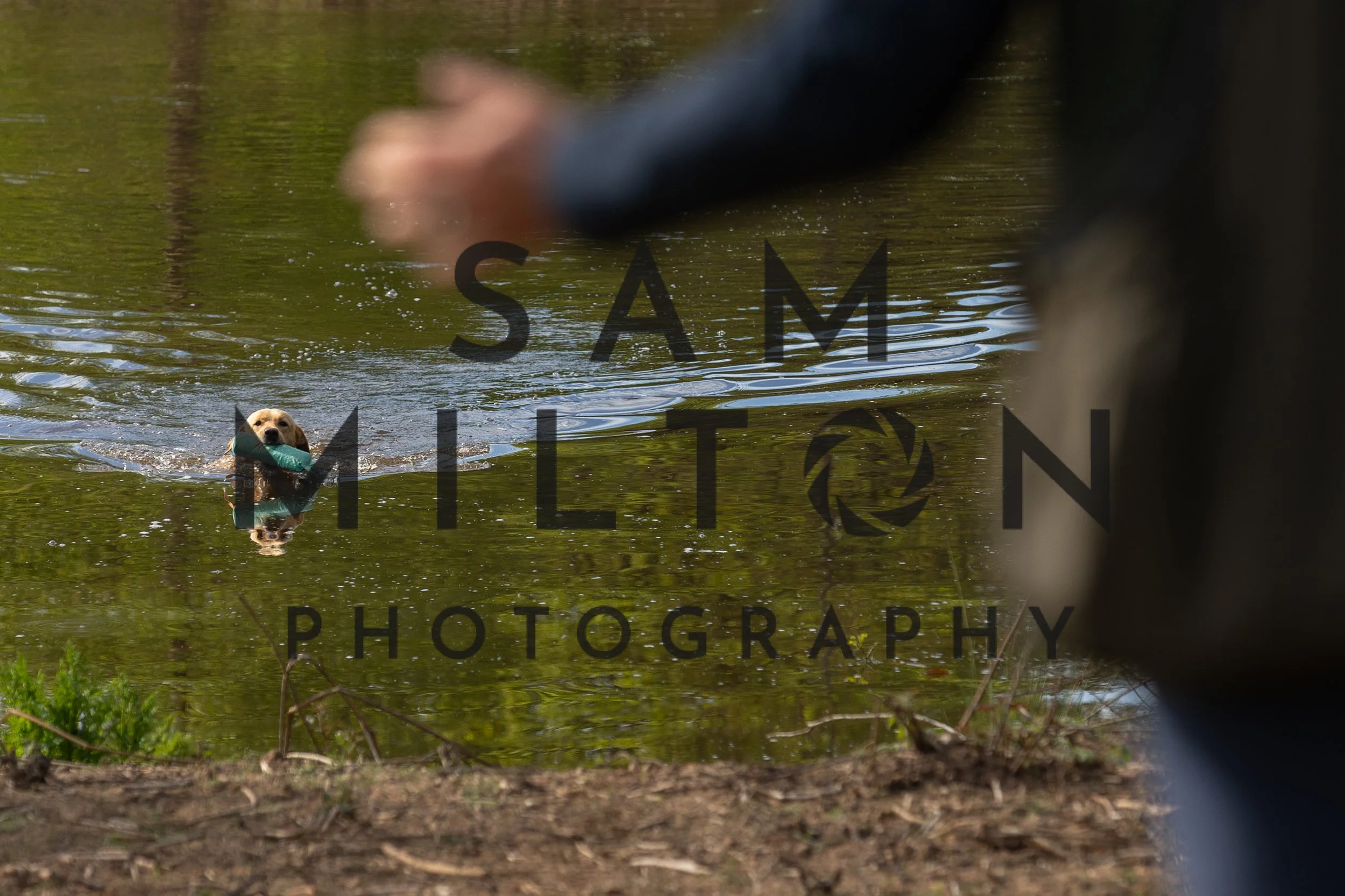 Gun Dog Challenge-78.jpg