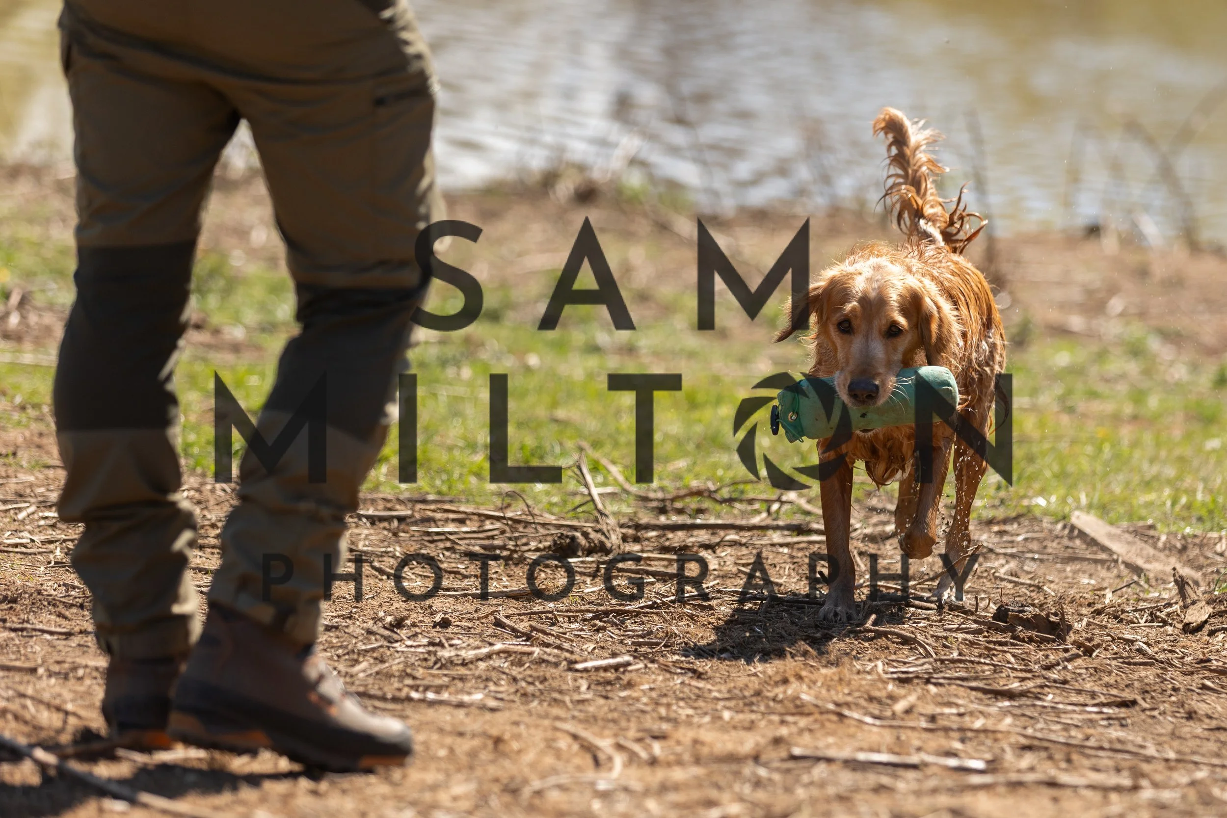 Gun Dog Challenge-387.jpg