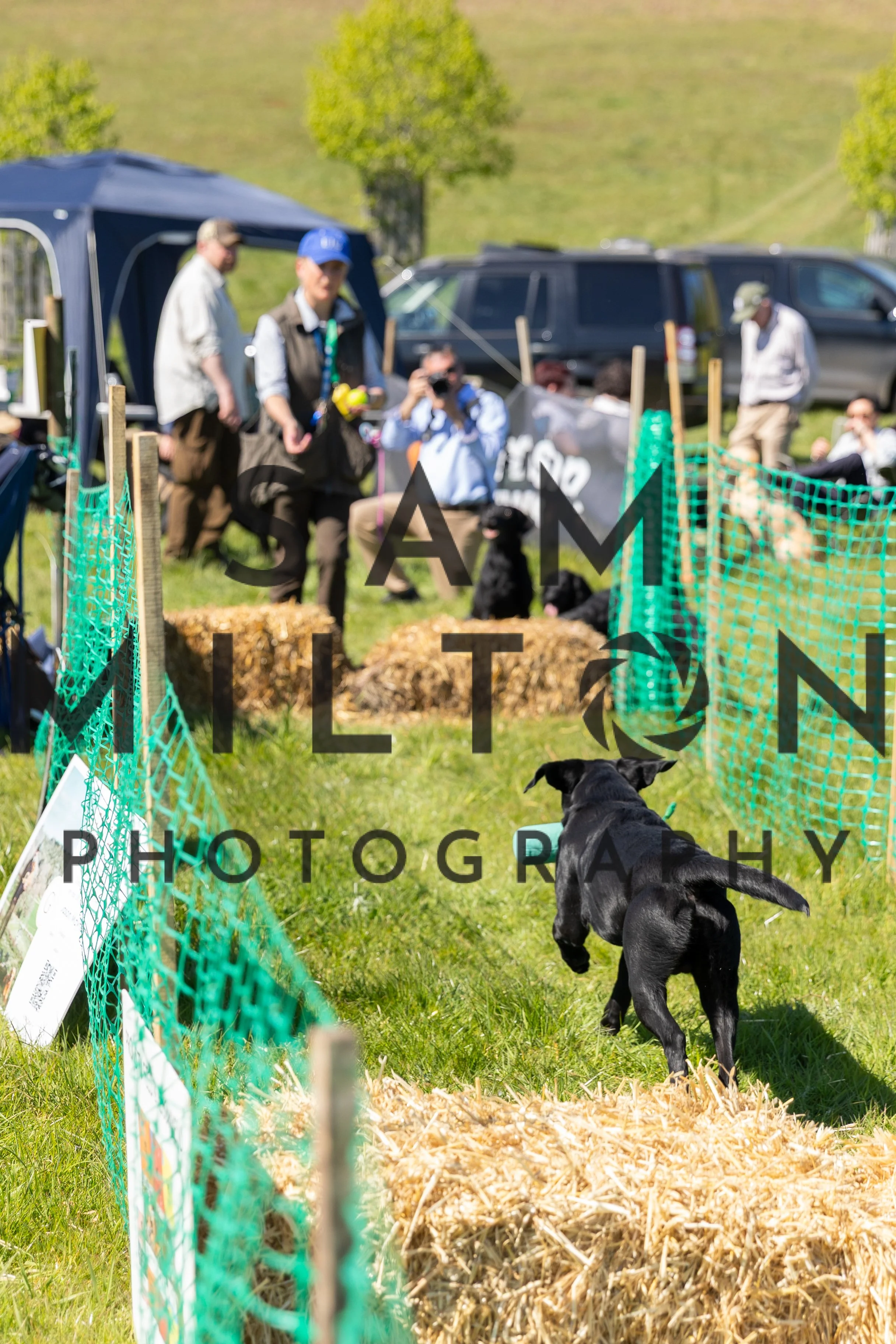 Gun Dog Challenge-400.jpg