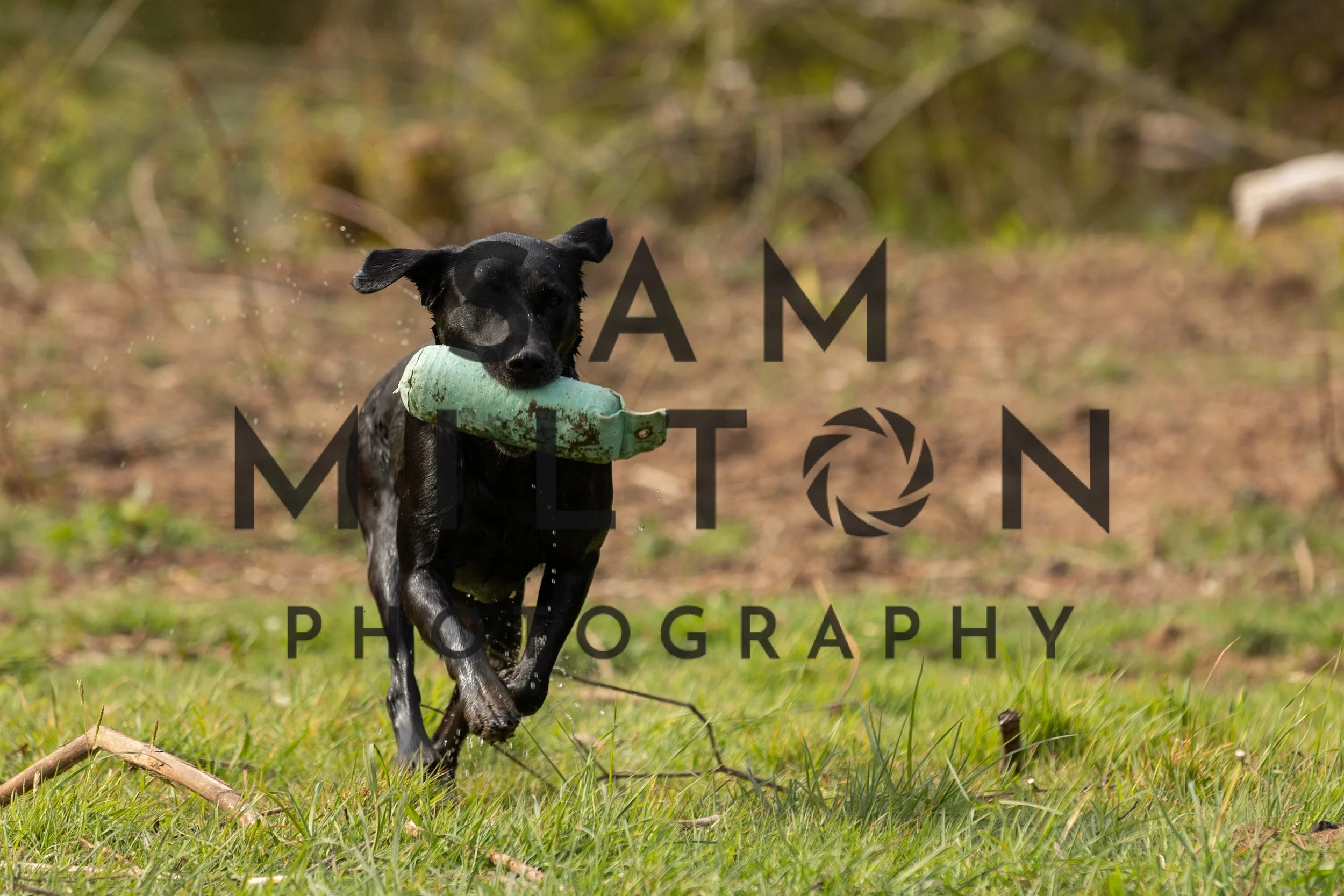 Gun Dog Challenge-70.jpg