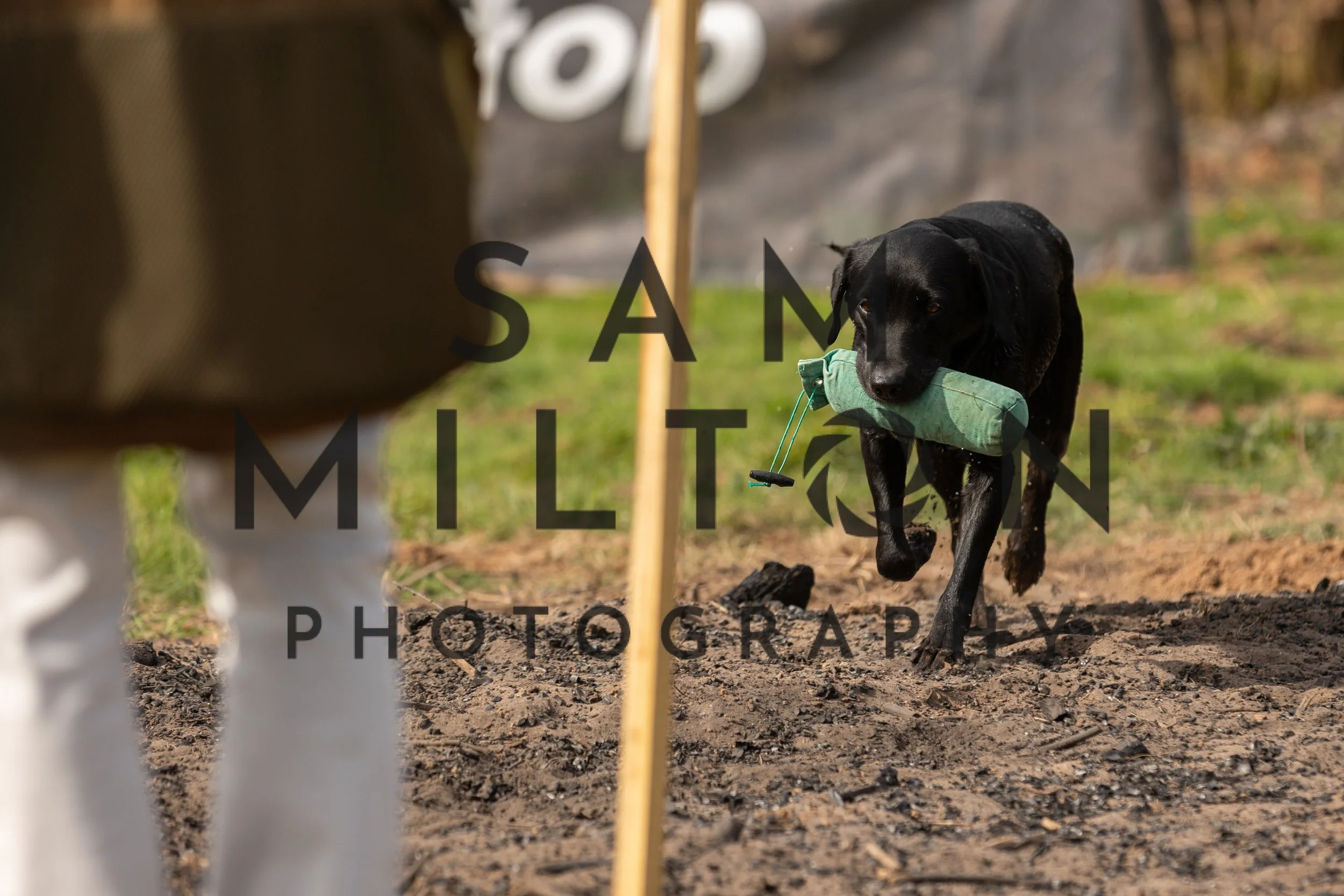 Gun Dog Challenge-94.jpg