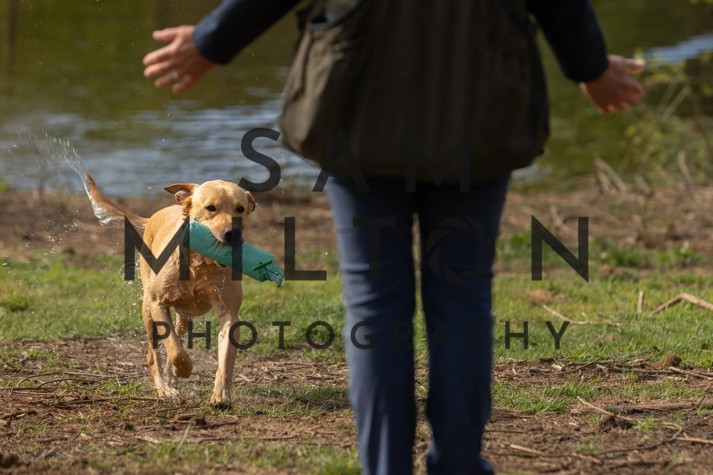 Gun Dog Challenge-79.jpg