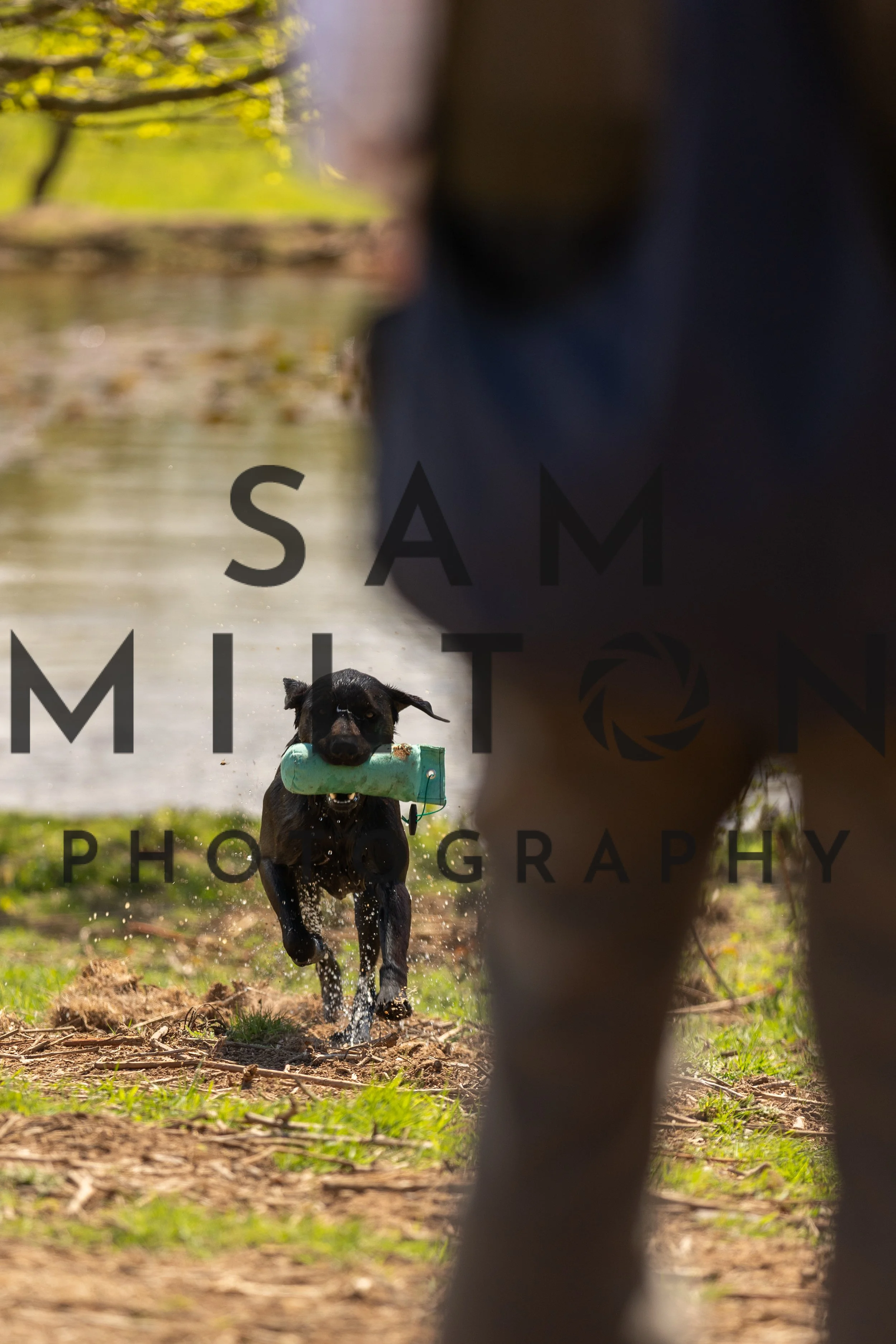 Gun Dog Challenge-353.jpg