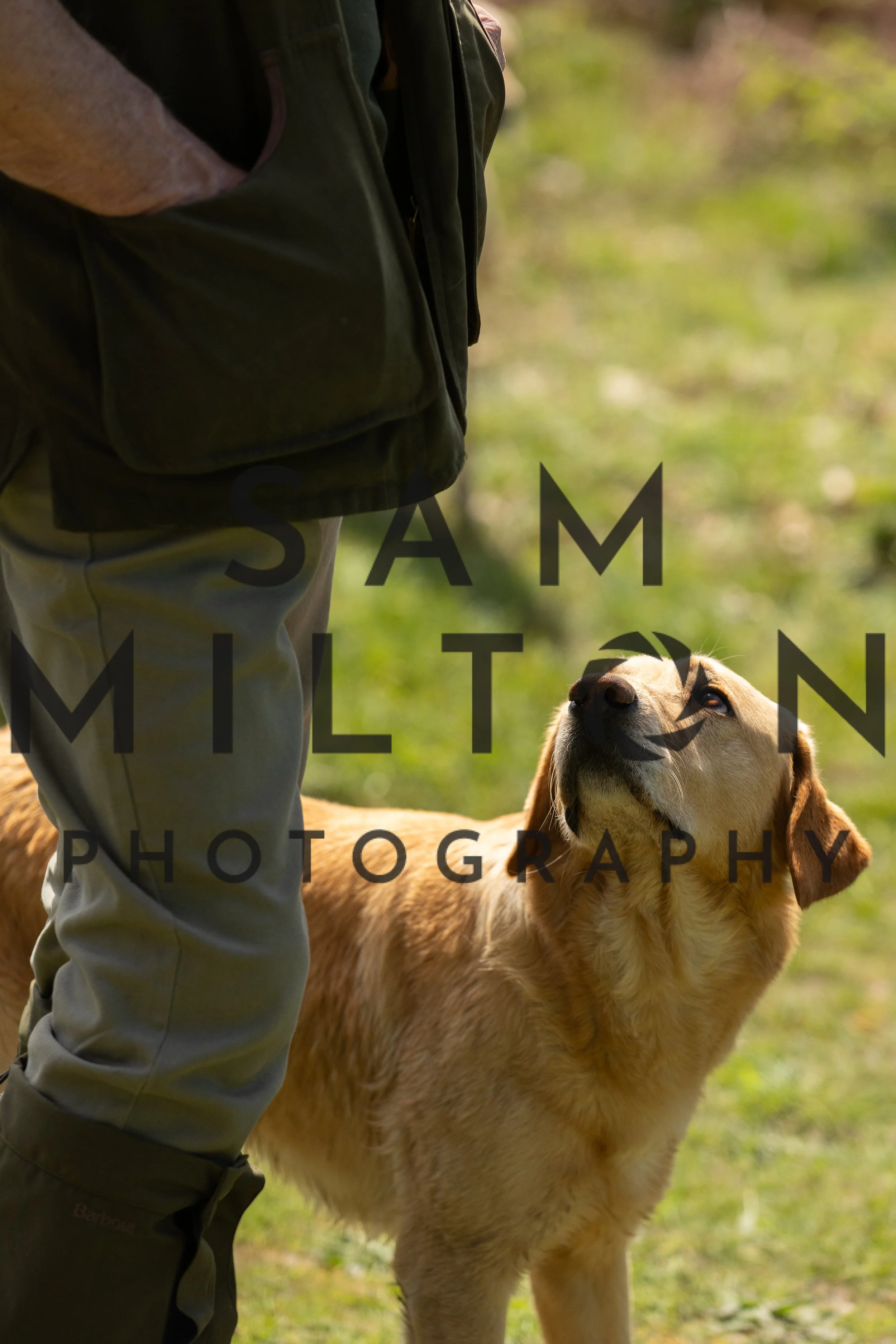 Gun Dog Challenge-280.jpg