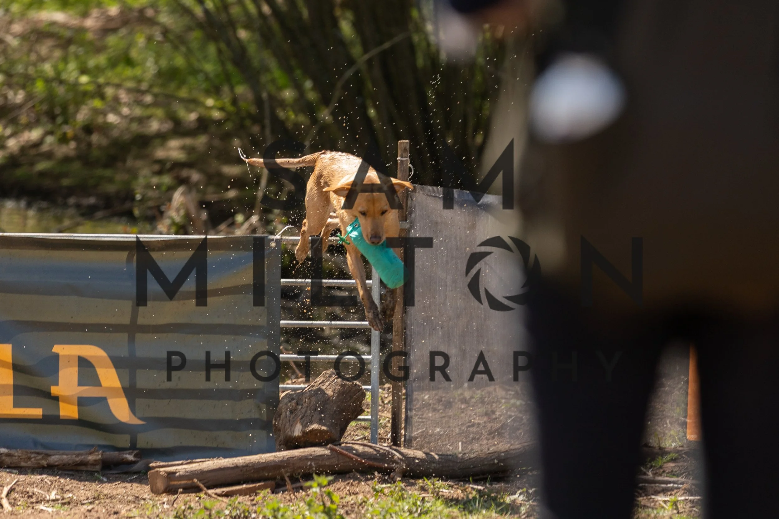 Gun Dog Challenge-342.jpg