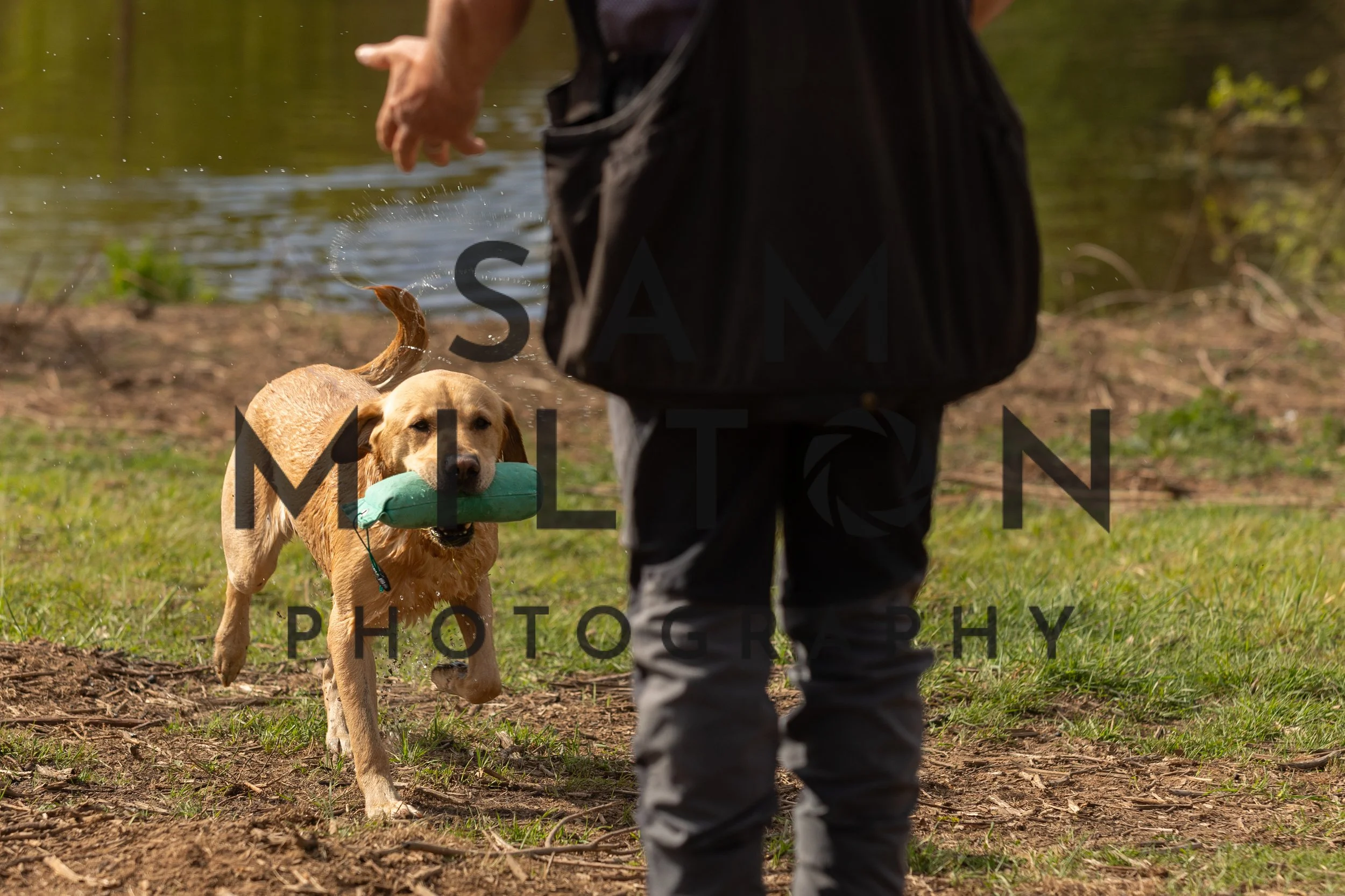 Gun Dog Challenge-102.jpg