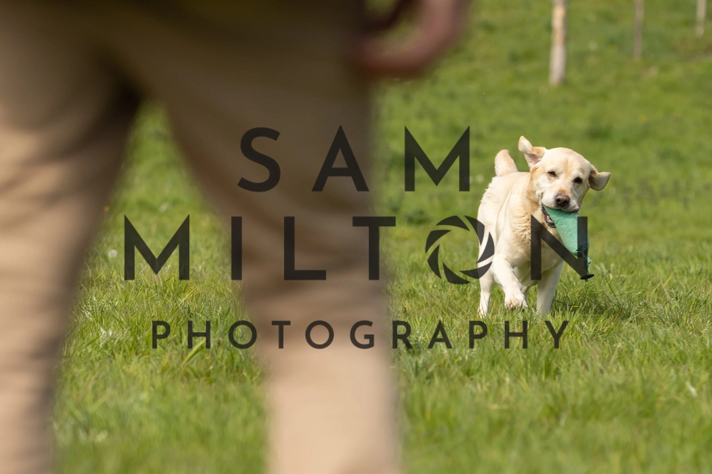 Gun Dog Challenge-176.jpg