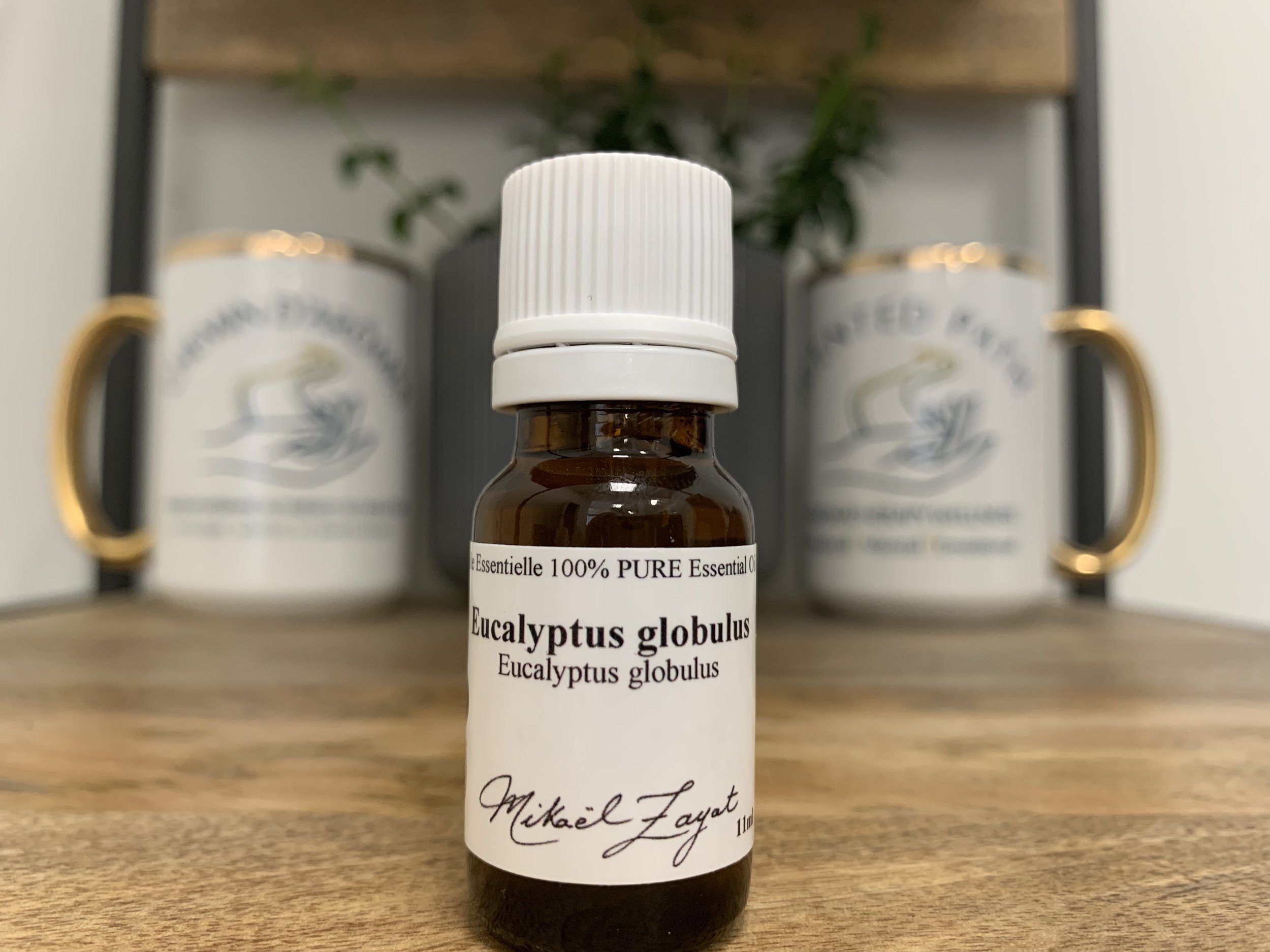 Huile essentielle d'eucalyptus globulus — Chemin d'arômes