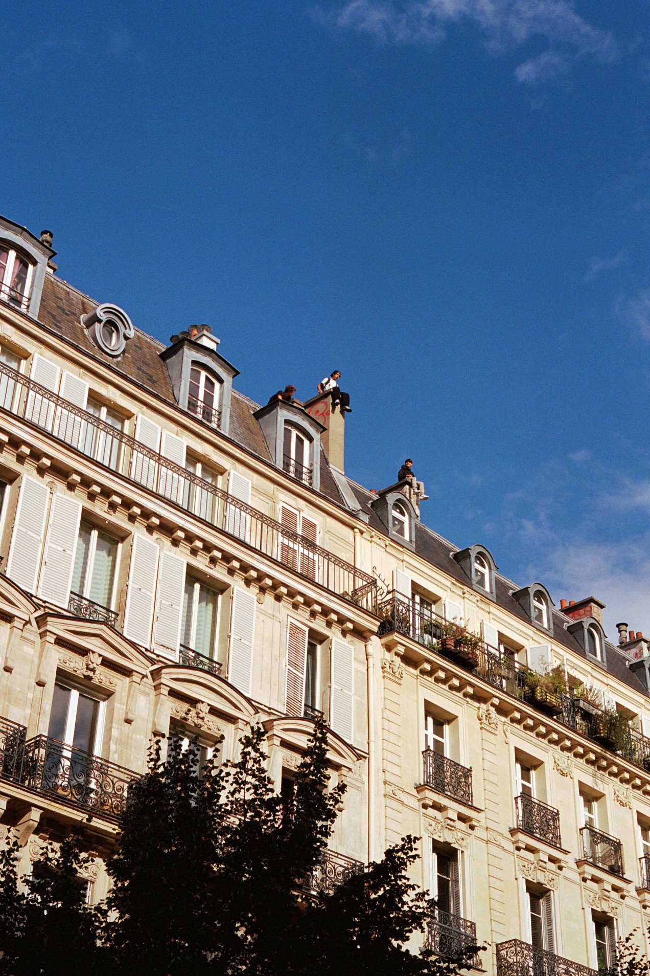 "Rooftop Rave" Postcard