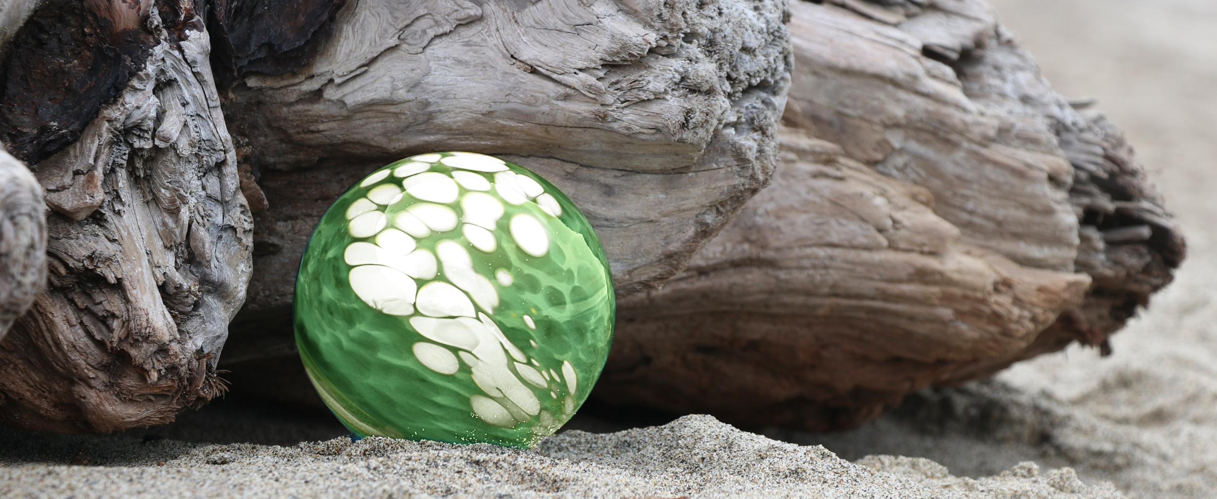 glass float hiding near beach wood