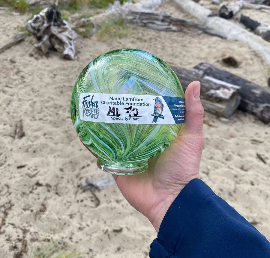 hand holding a glass float with the beach and driftwood in the background