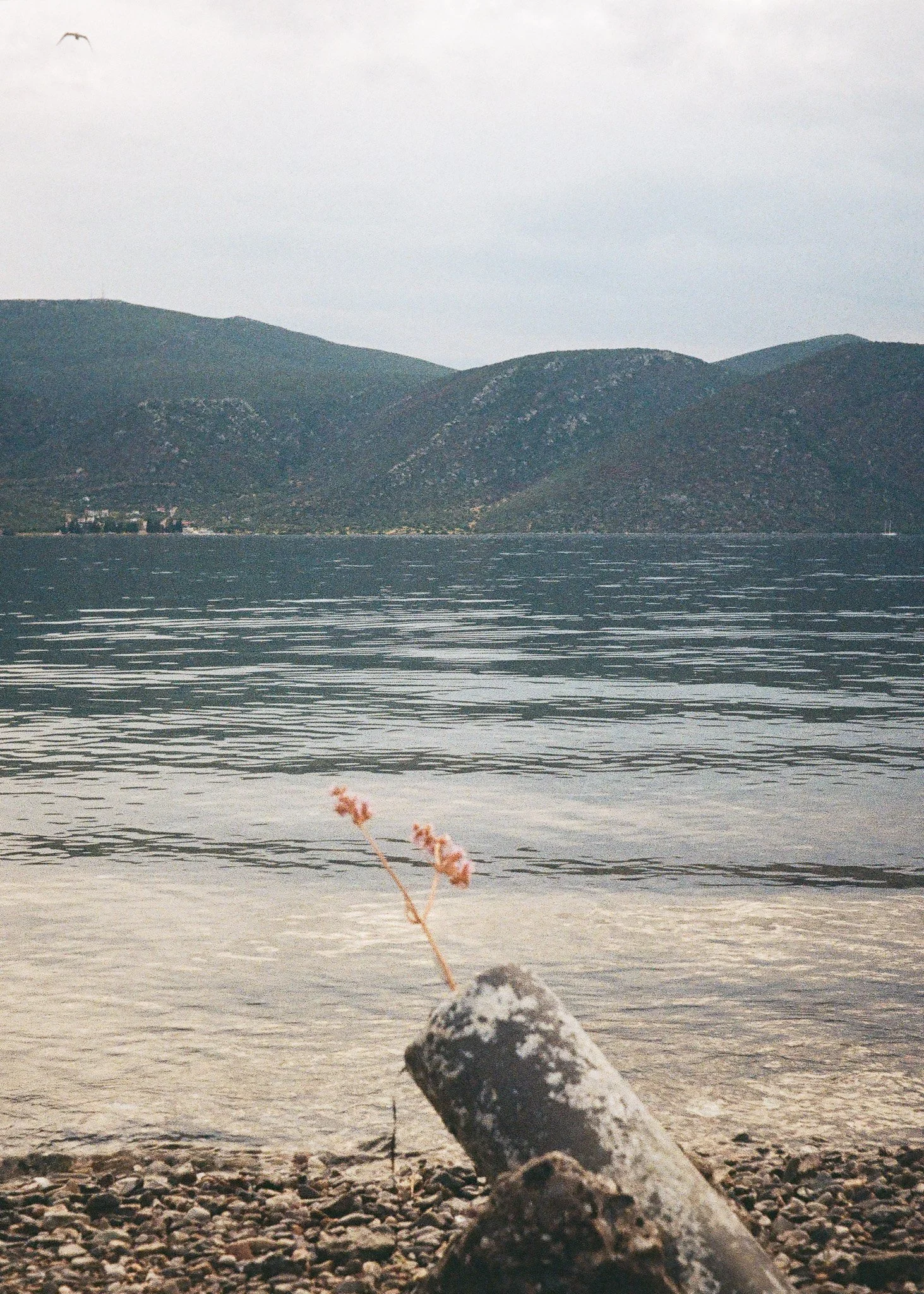 000038750055 (1).jpg