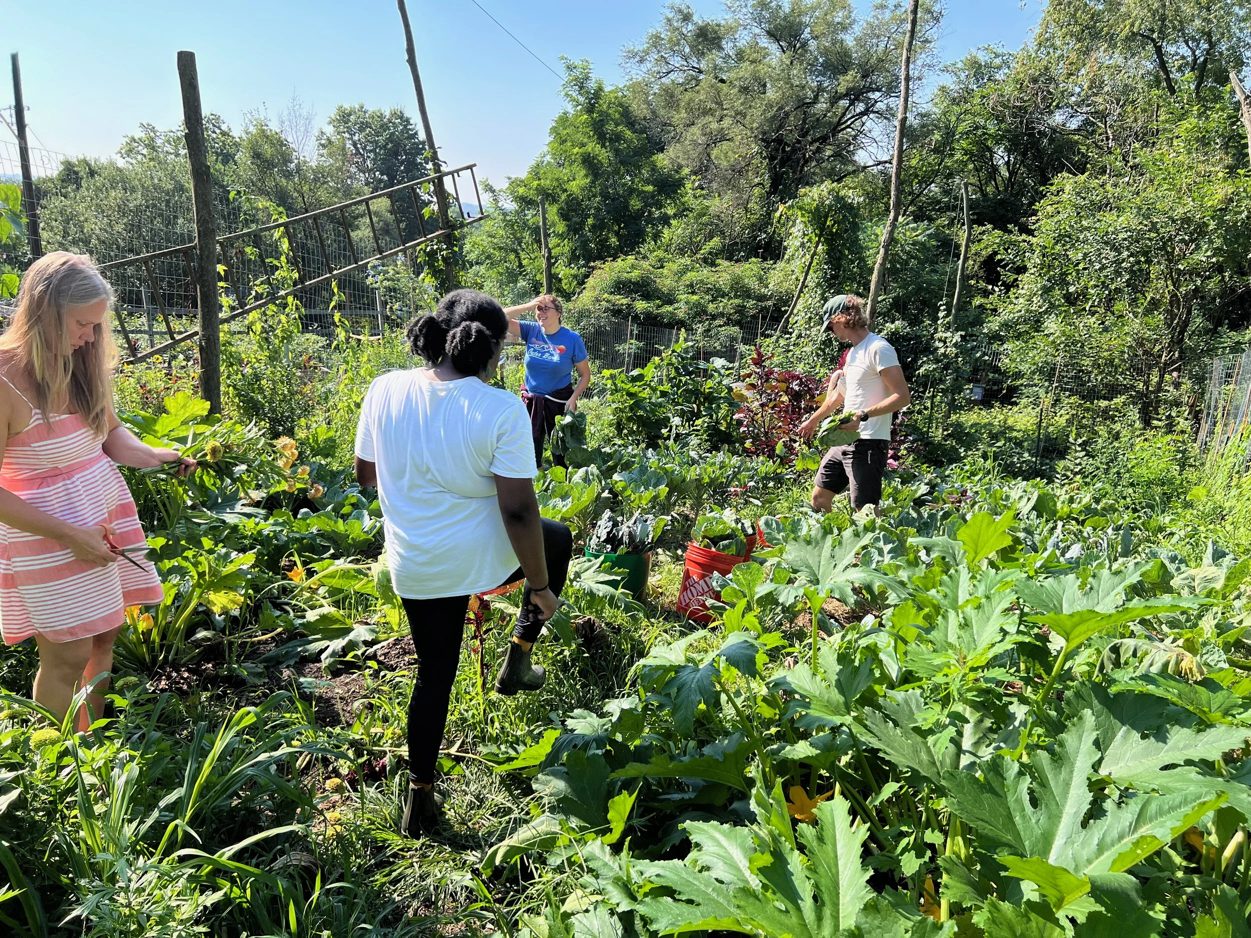 Garfield Community Farm