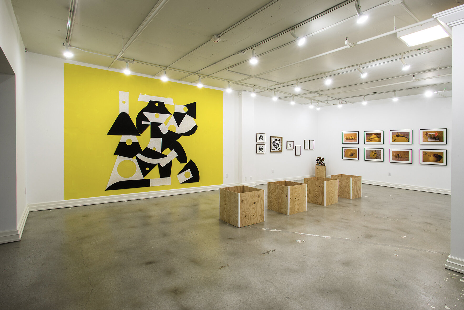 Installation View Studio Eleven 2014
