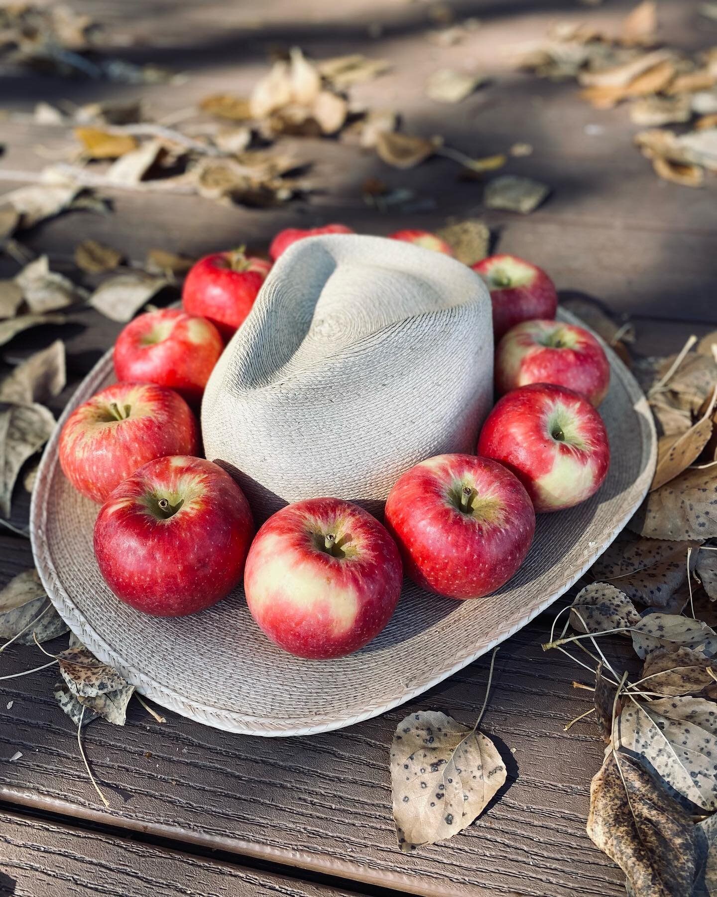🍎Crisp. Pie. Brown Betty. Sauce. Butter. 

🍎With Cheese. Peanut butter. Honey. Caramel.

🍎Sliced. Whole. Chunky. Diced. 

What&rsquo;s your favorite way to enjoy apples? 

It&rsquo;s time we remember that these beauties are ✨seasonal✨ and the true