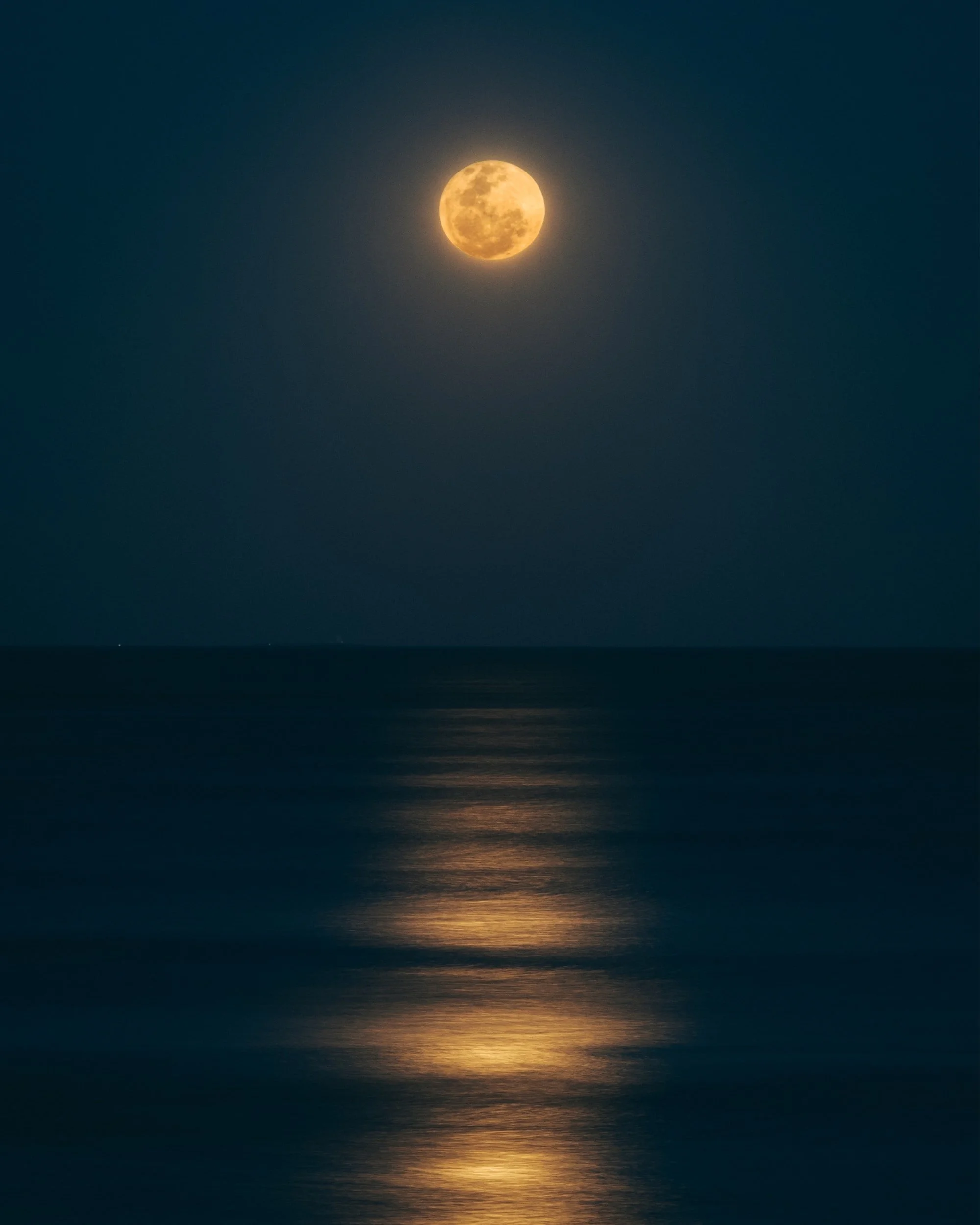 unsplash-image-Qd688l1yDOI.jpg