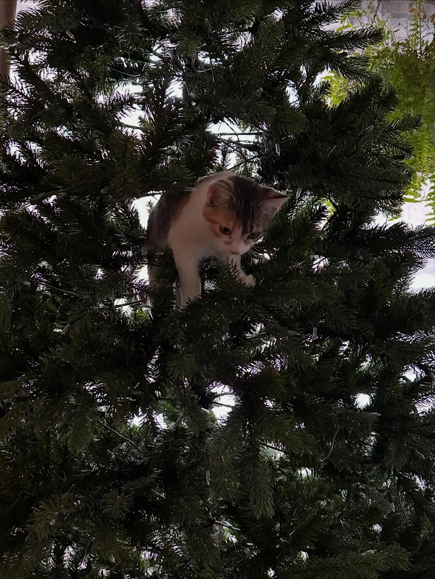 Sometimes, you just need to have curiosity, a little courage, and the desire to see things from@a new fresh perspective. When you decide to get out of your comfort zone, you rise to new levels. Doesn&rsquo;t always mean it&rsquo;s easy or even fun wh