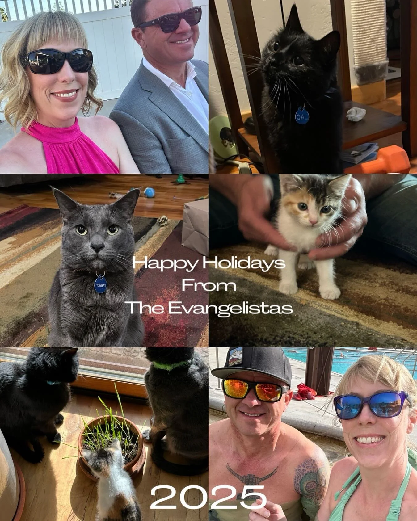 Happy Holidays, from my small lion pride to yours!!!!