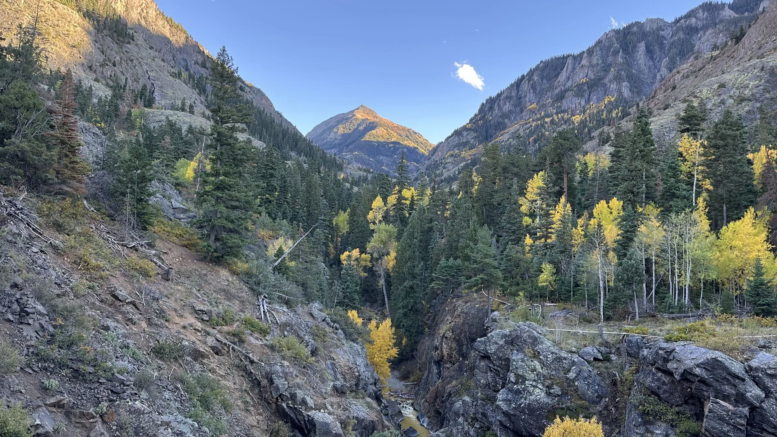 What the Aspen Know: Why September is the Real Beginning
