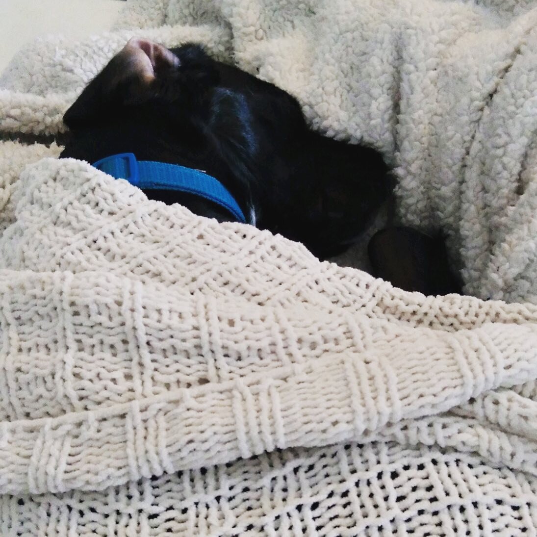 #mondaymood right here...
Fred is luxuriating under the blankies - doesn&rsquo;t want to budge. Only way he will move from this spot is if he is carried. 

Ever carry your big baby? 

Dr. Stein loves catering to your baby&rsquo;s quirky and silly nee
