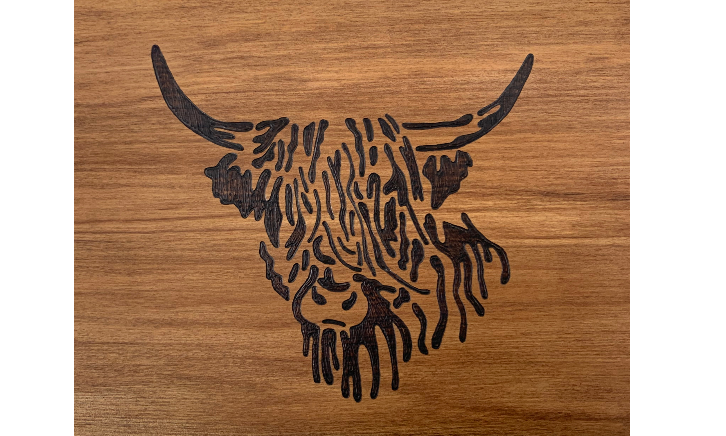 highland cow - long 2.png