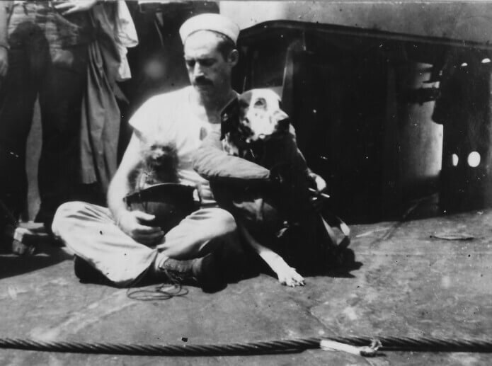 two dogs with sailor.jpg