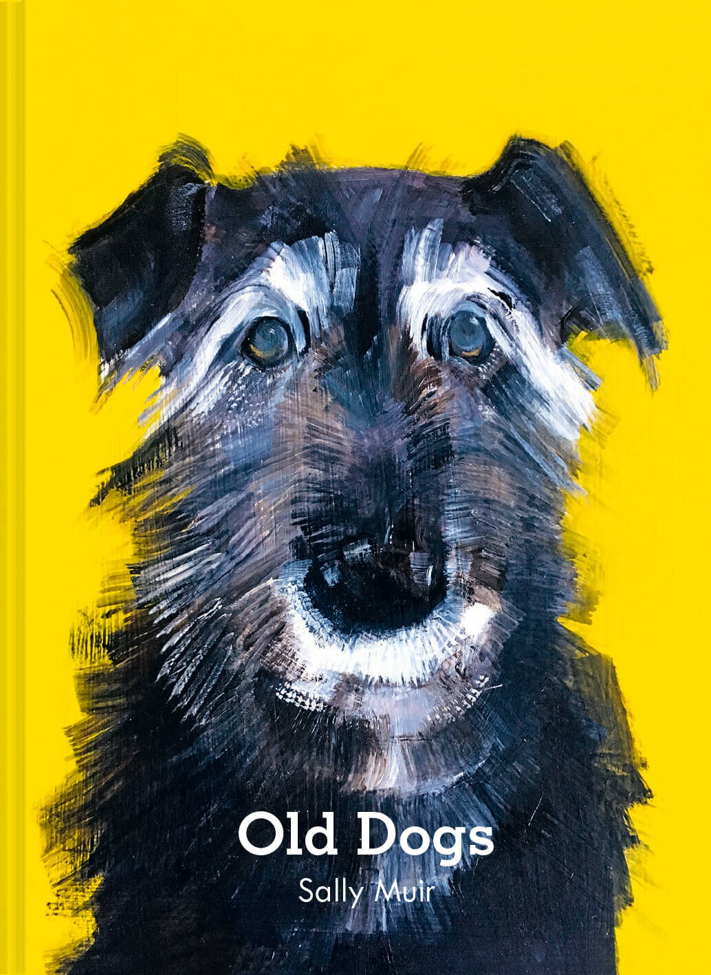 senior dog art portrait.jpeg