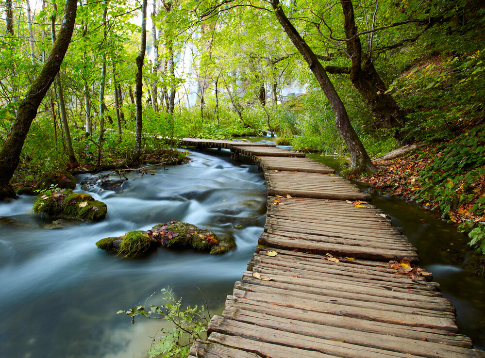 10 Ways to Relax in Nature and Stress Less - American Heart Association