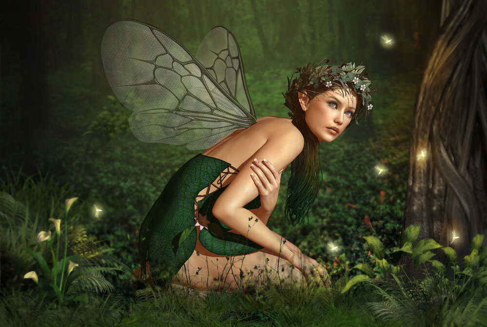 Fairy