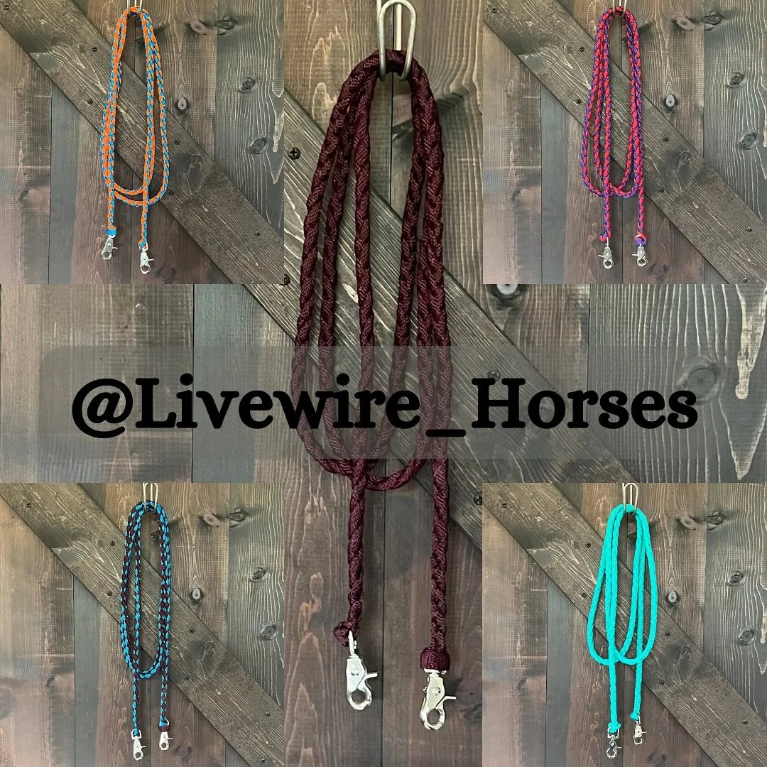 25% off custom orders!
Includes halters and reins
www.livewireart.com
#livewirehorses #muletapehalter #muletapereins #muletapetack