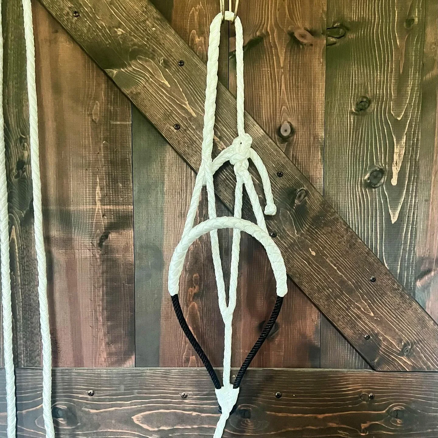 Large horse
10ft lead
On sale for $41.25 (25% off!) plus shipping