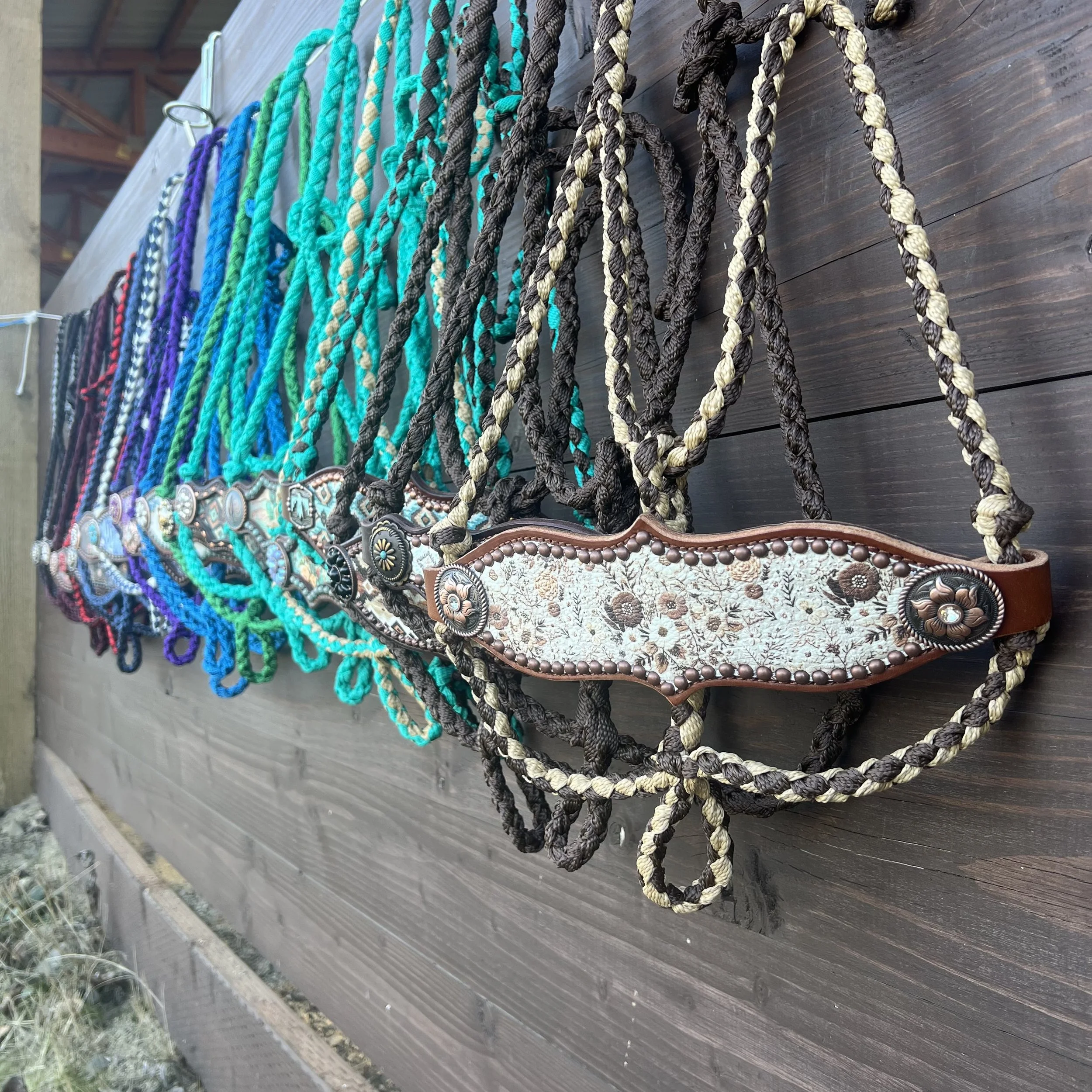 Desert Rose Equine Bronc Halters