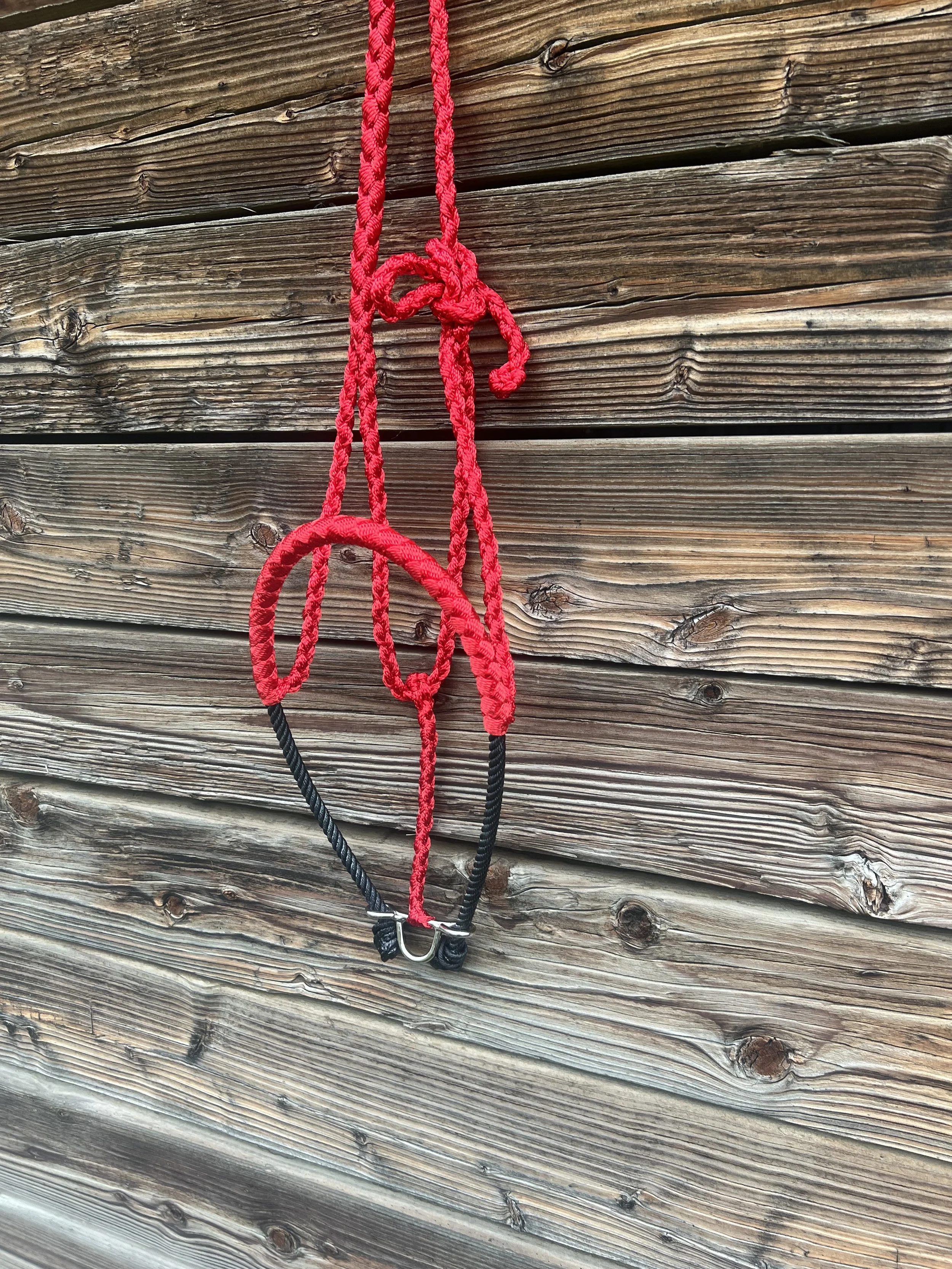 Lariat Halter (red)