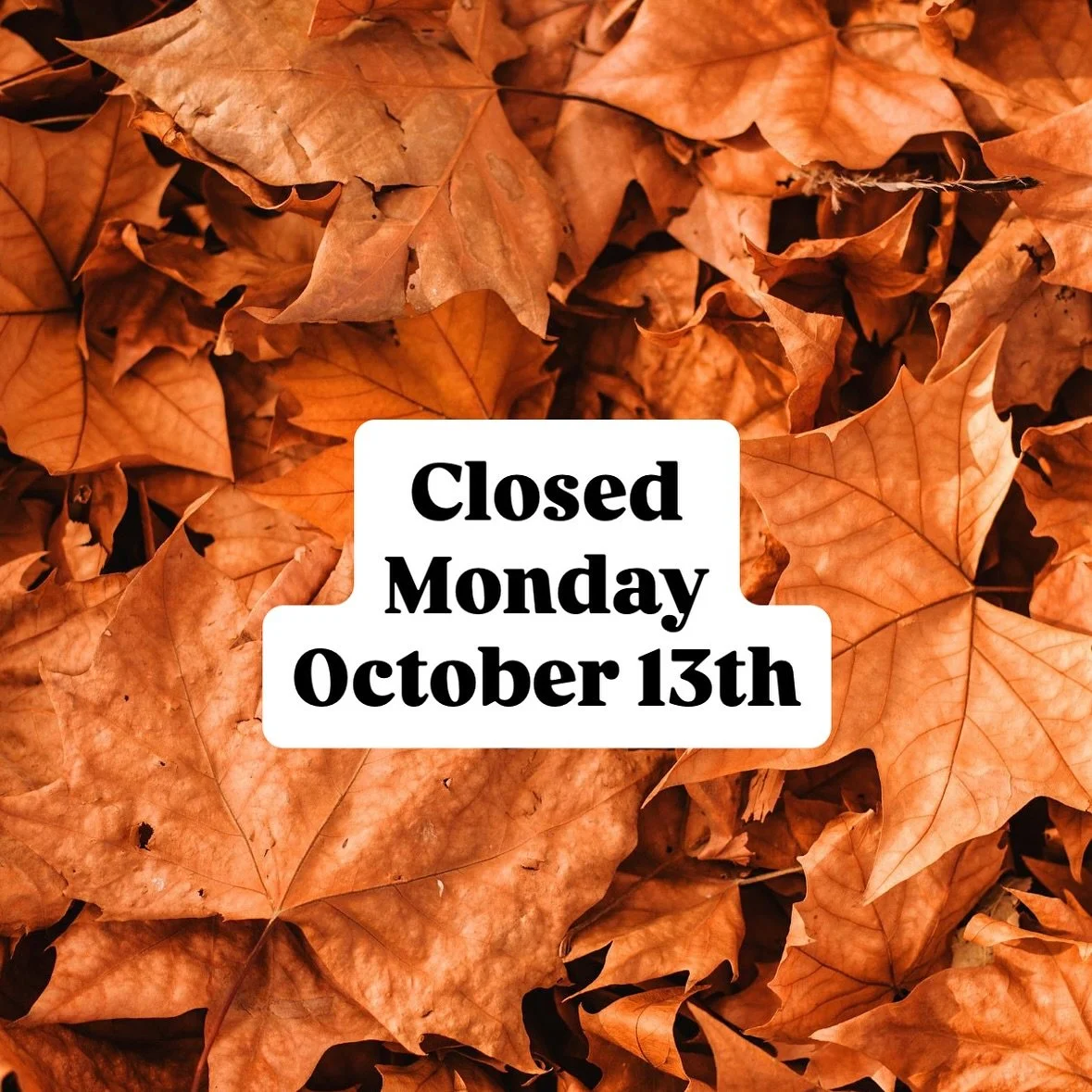This is a friendly reminder that we will be closed on Monday, October 13 for Thanksgiving π
As we head into the long weekend, we want to express our sincere gratitude for the continued support of our community. Your trust in a small, local, indepen