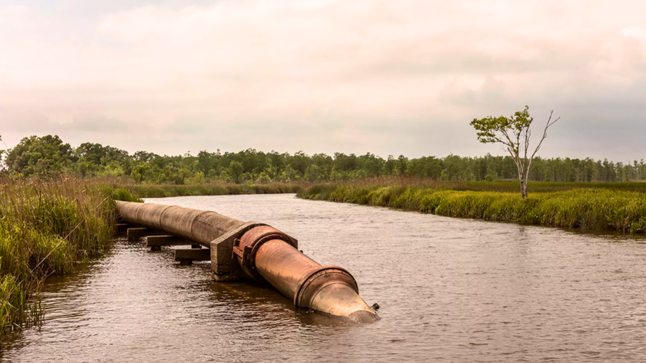 Poison That Lingers: North Carolina’s PFAS Crisis