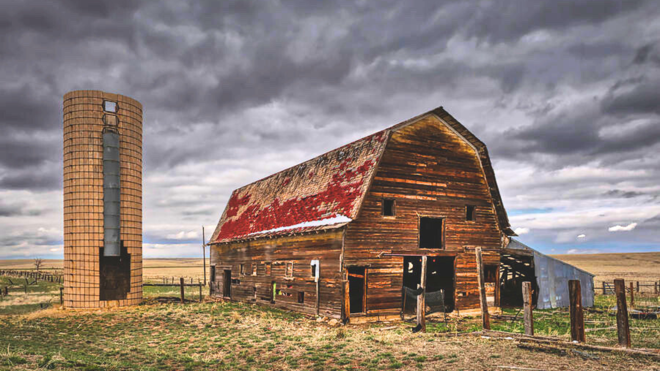 Unequal Harvest: How Black and Brown Farmers Continue to Struggle Under USDA Policies