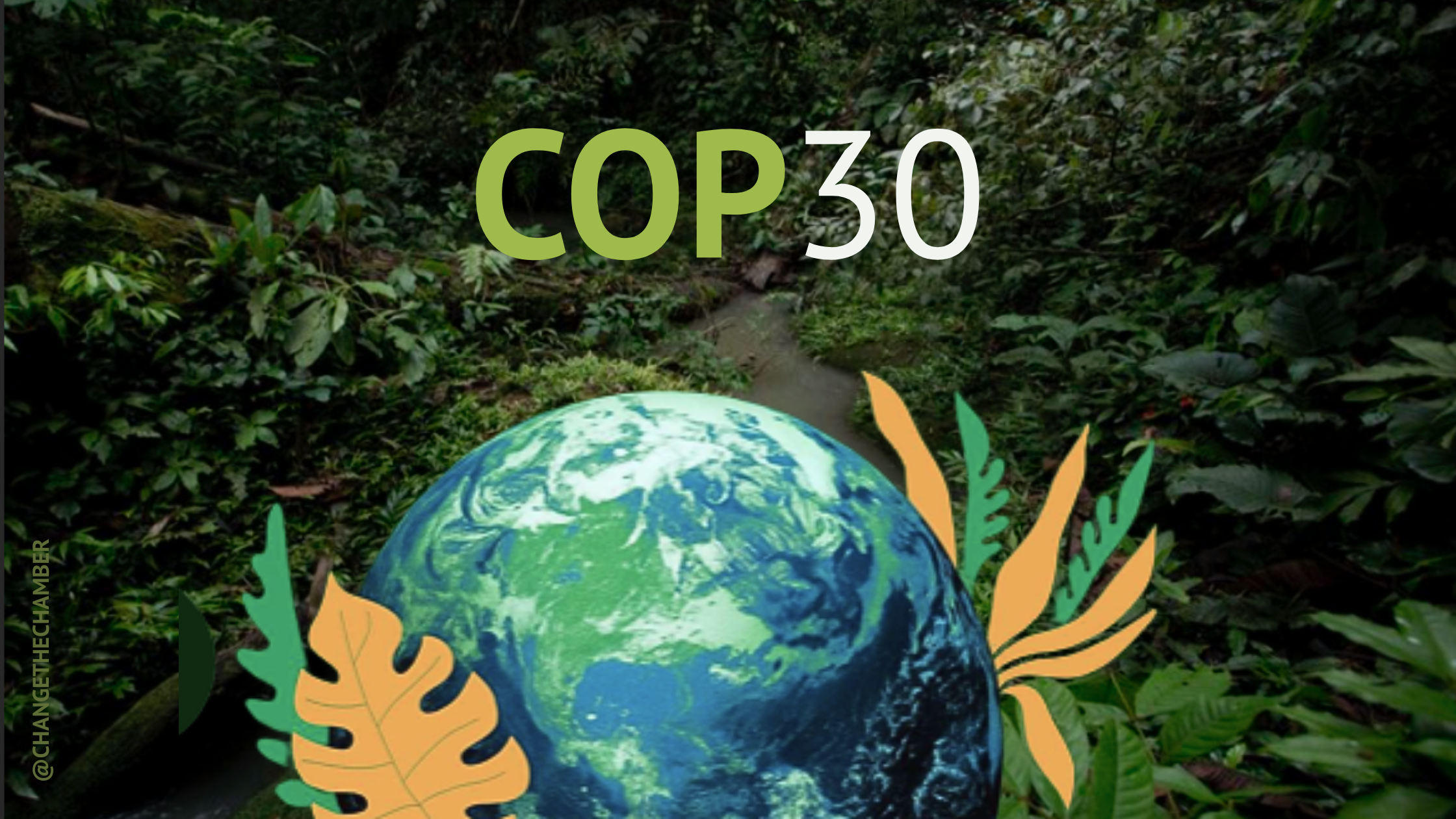 COP30: Key Outcomes and Implications