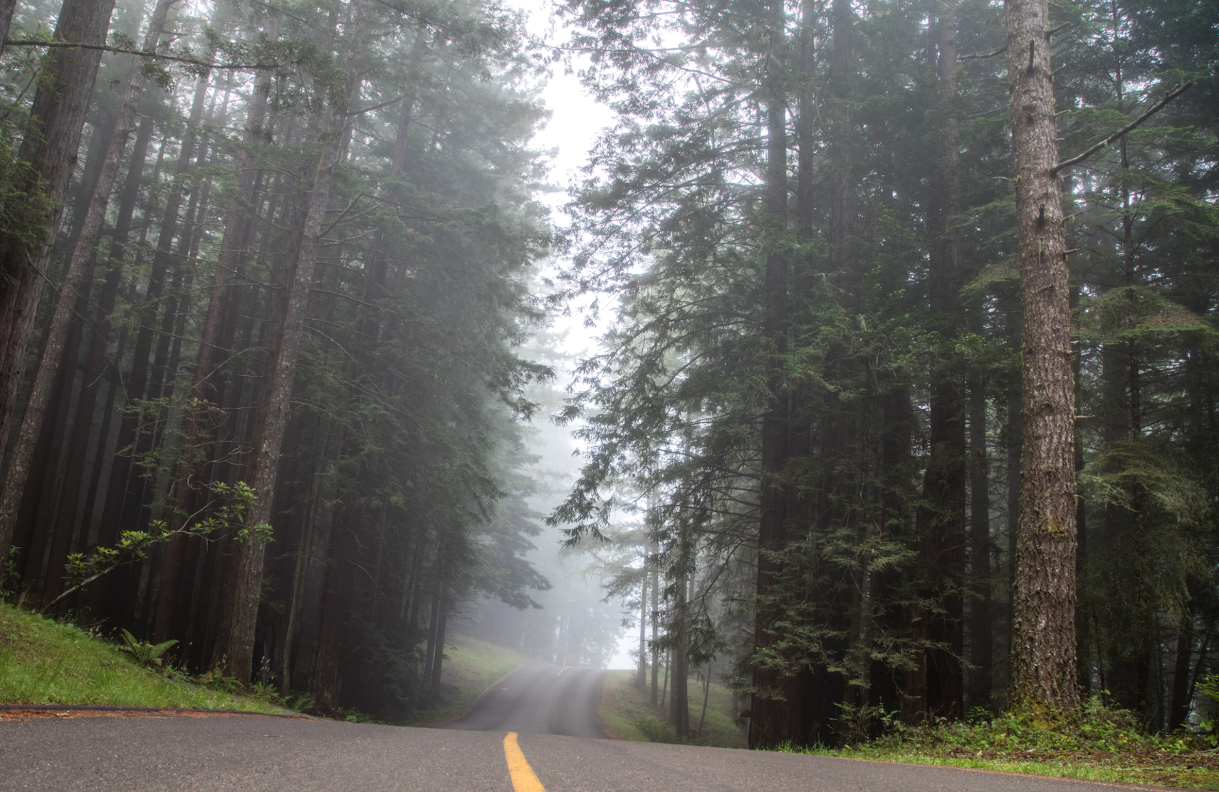 Screen Shot 2020-11-08 at 9.16.42 AM.png