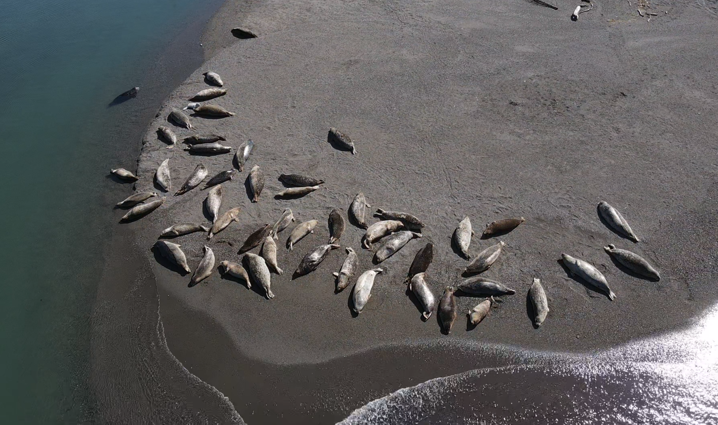 Screen Shot 2021-04-16 at 17.19.27.png