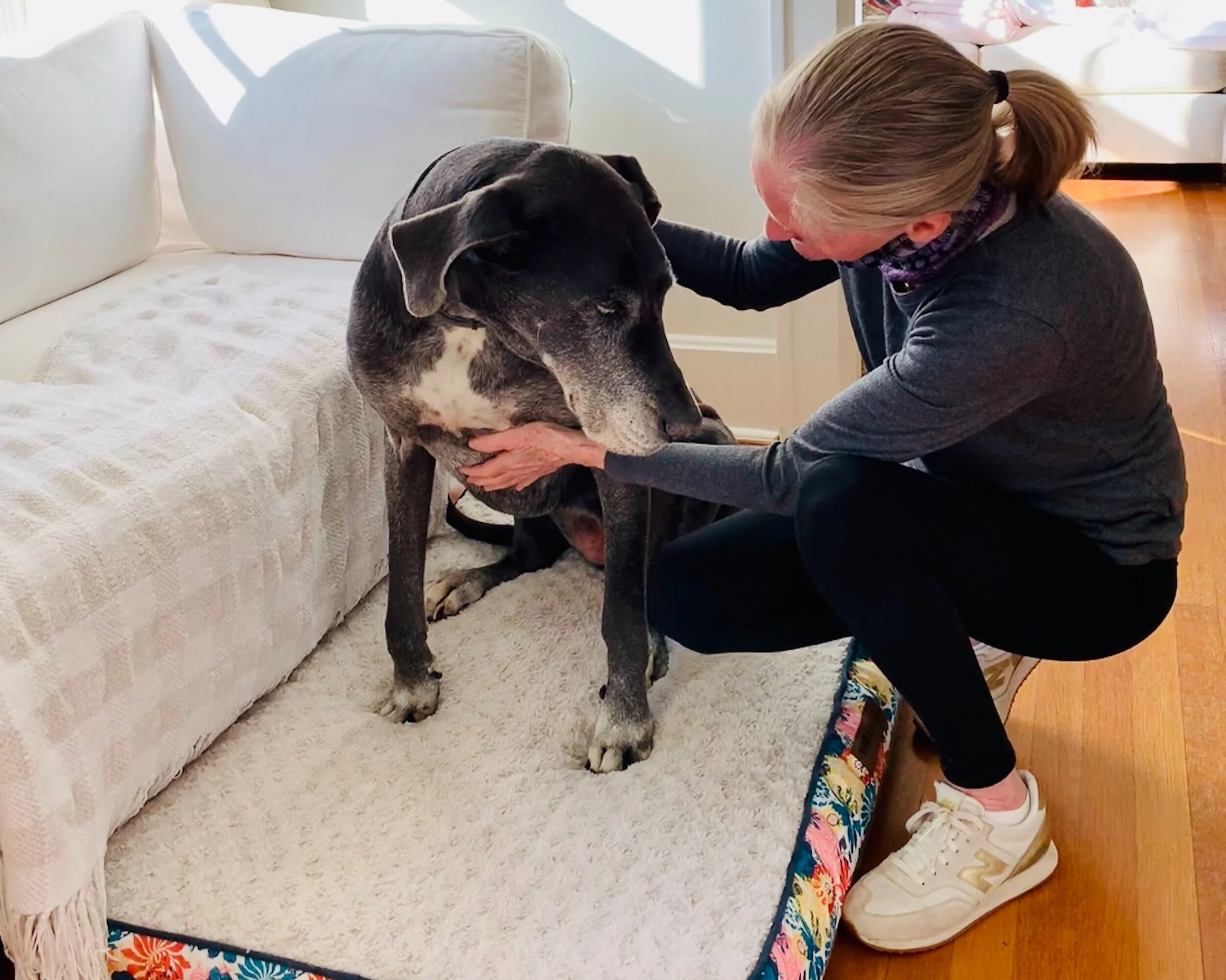 Start your pet’s day right (and yours too)