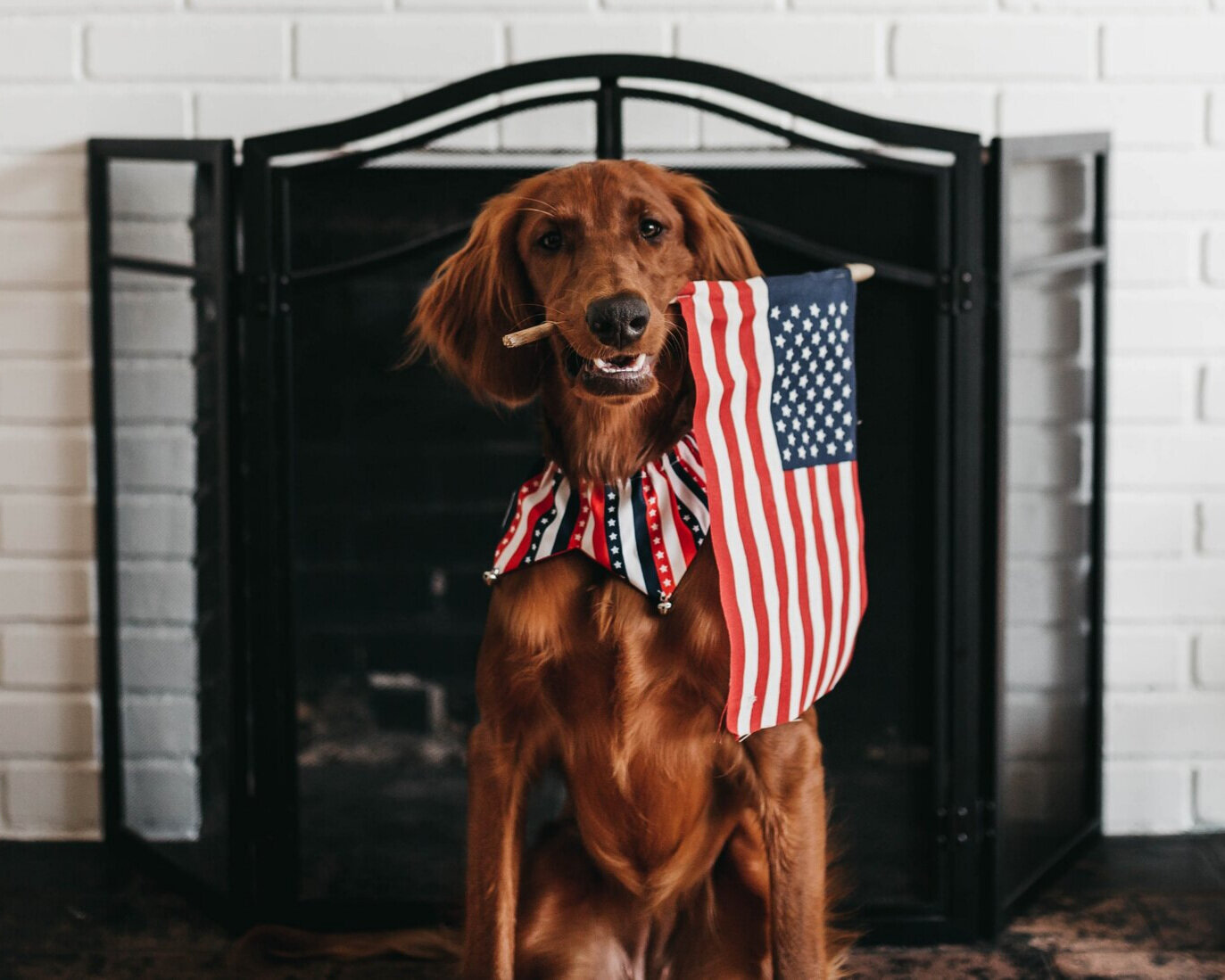 Get ready for fireworks!