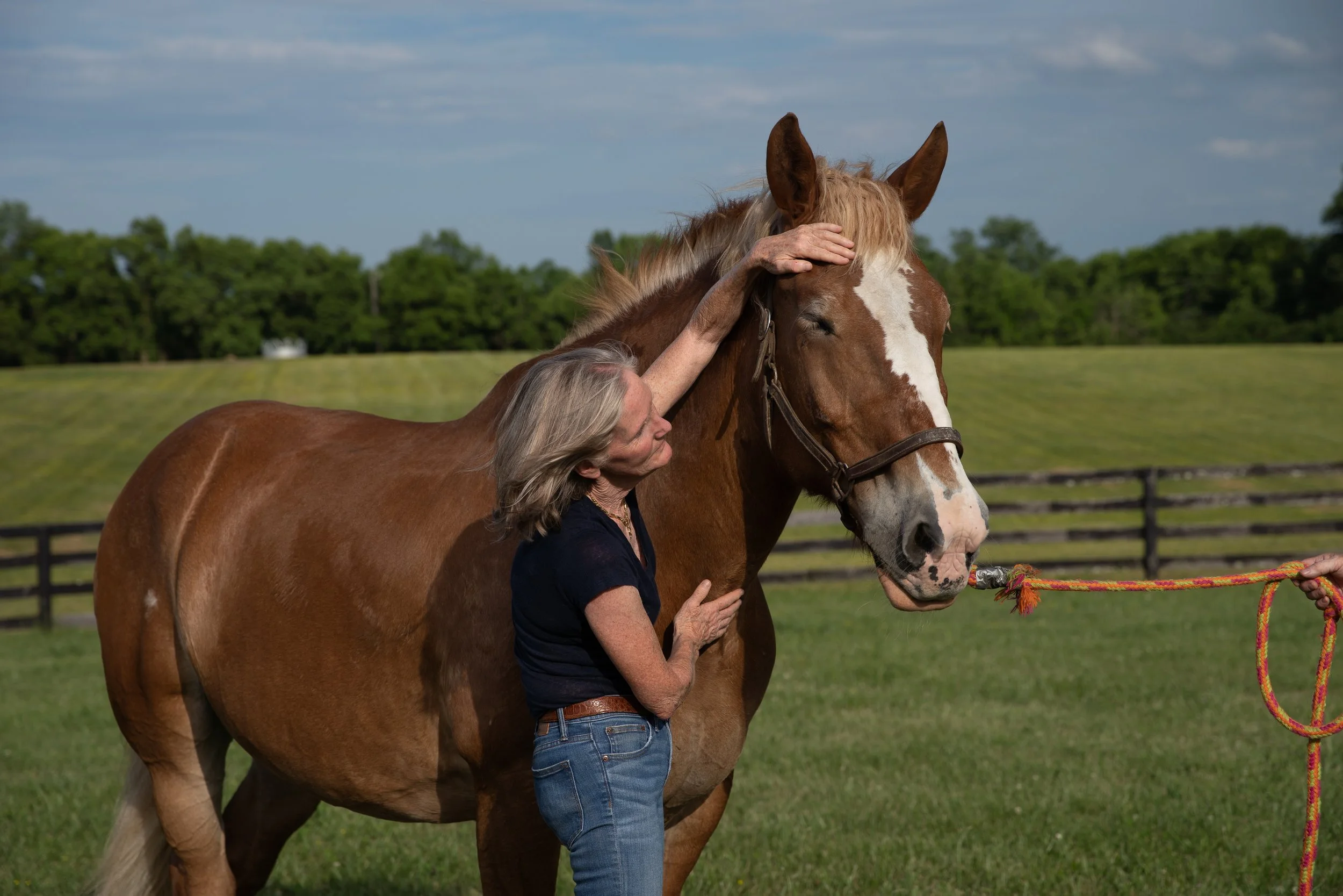 RELAX + HEAL IN PERSON EQUINE WORKSHOP