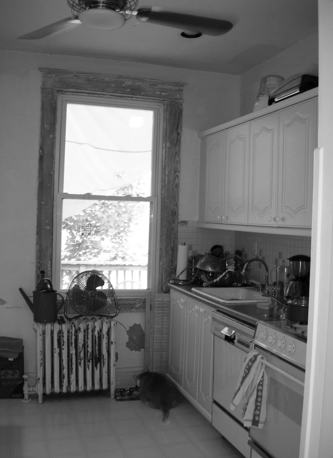 Wyman-Park-Kitchen-before-1.jpg
