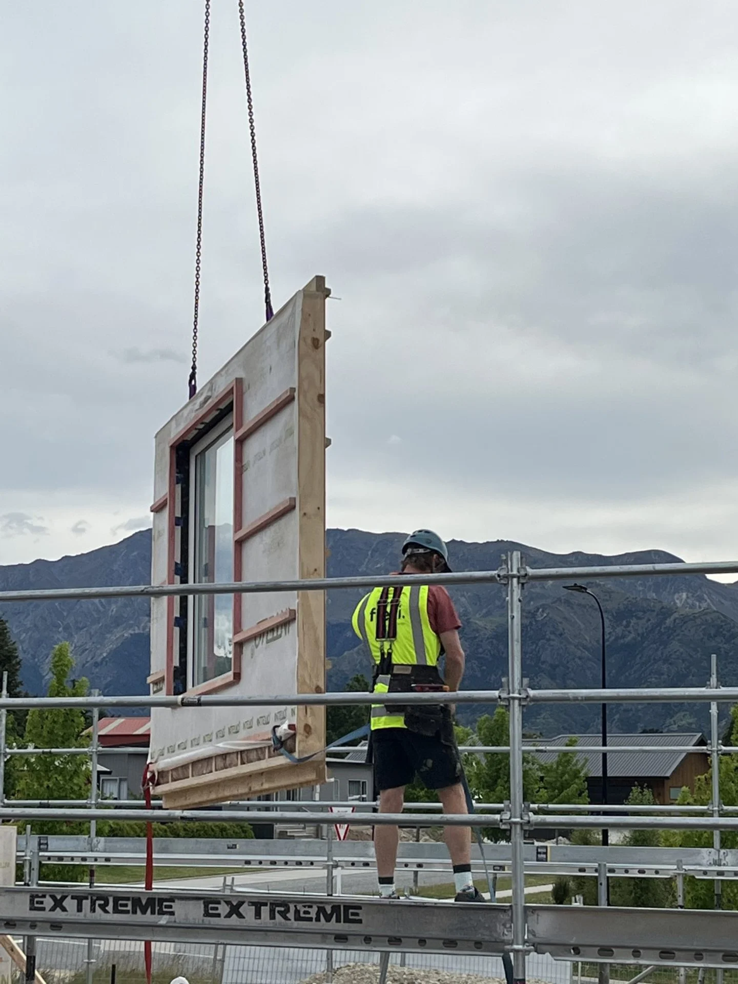 IMG_8730 (Large).JPG